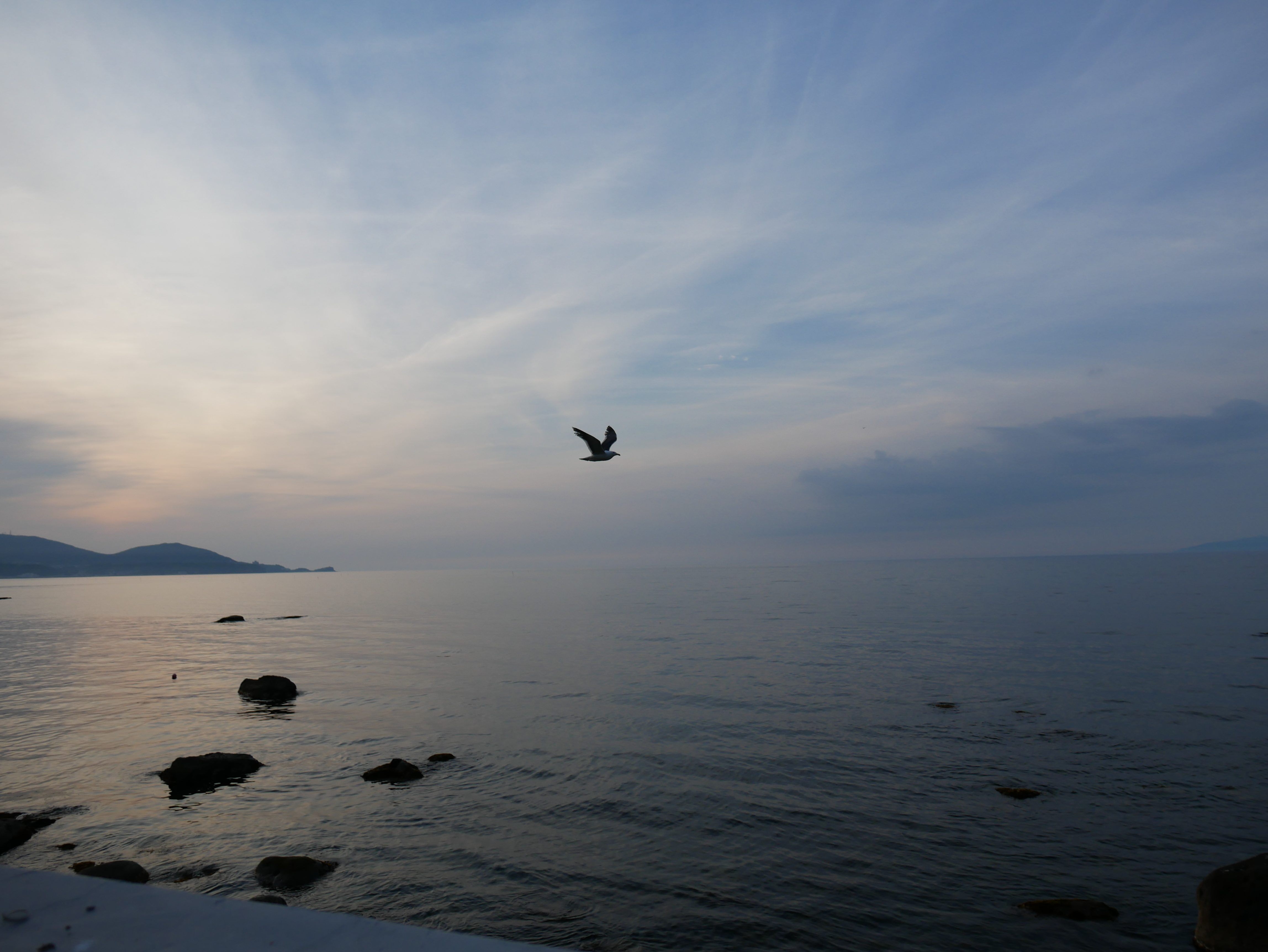 LUMIX GX7 Mark II / 1/4,000秒 / F2 / -0.7EV / ISO200 / 絞り優先AE / 12mm