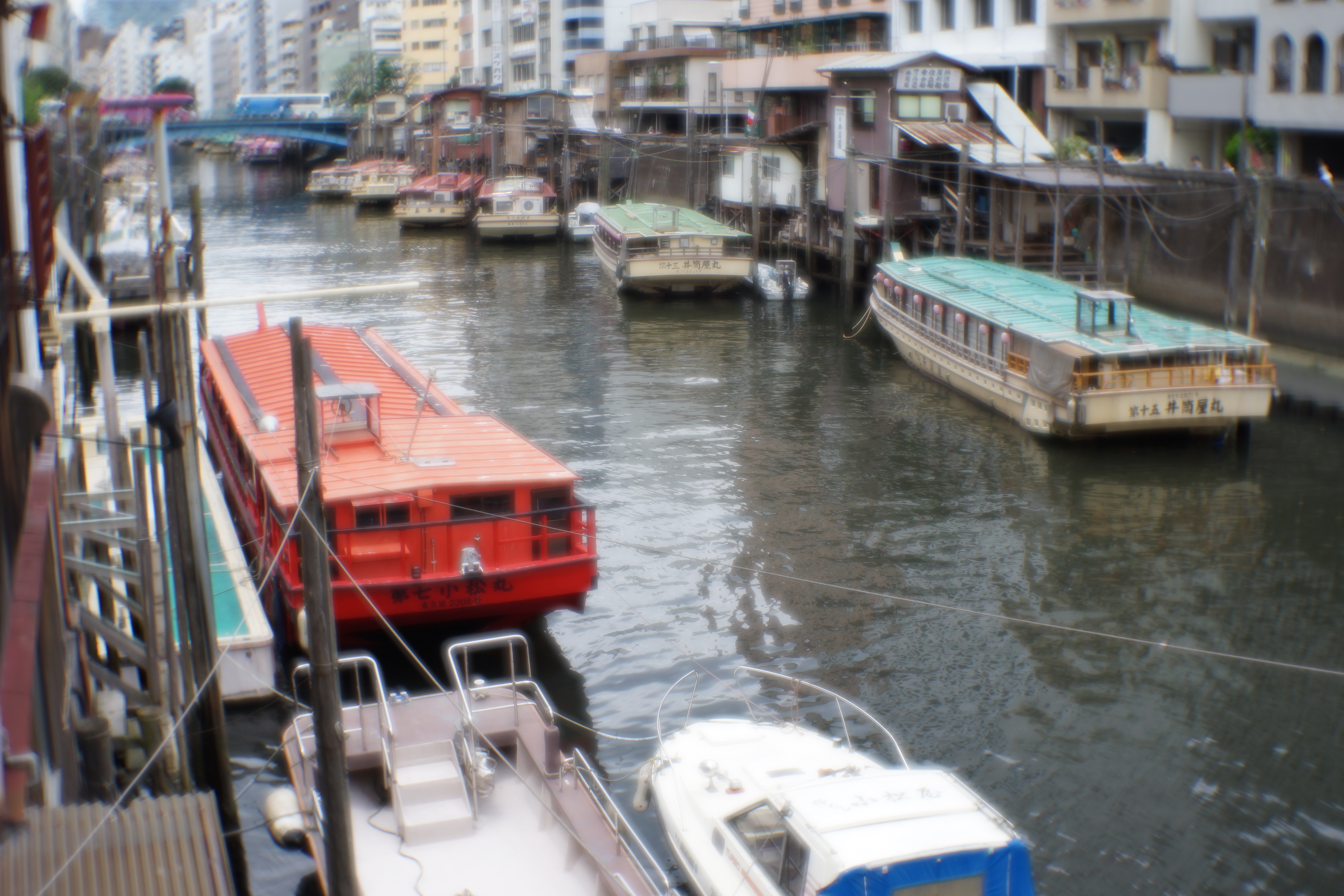 α7 / 1/160秒 / F6.3 / +0.7EV / ISO100 / 絞り優先AE