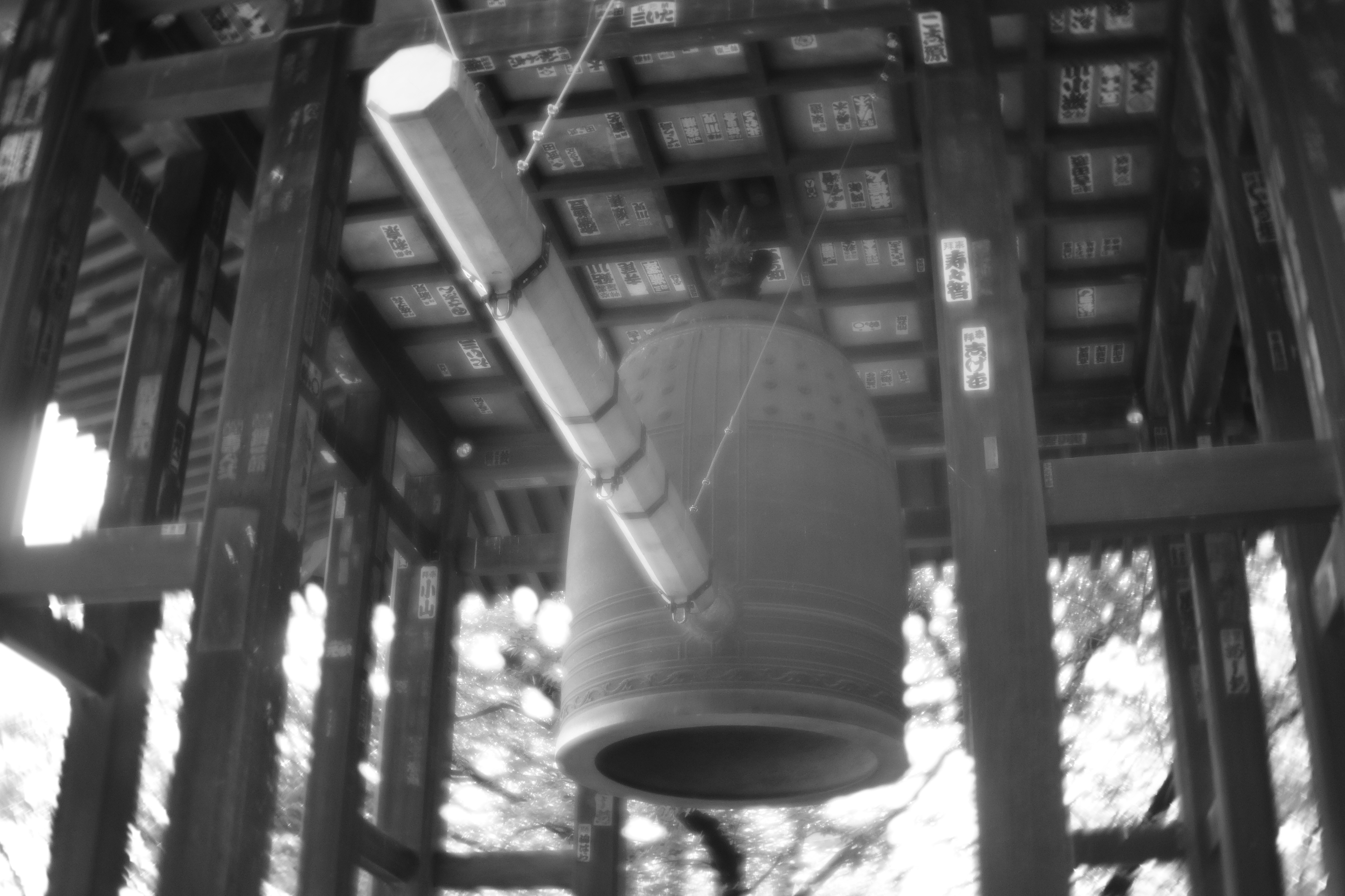 α7 / 1/60秒 / F6.3 / +0.3EV / ISO500 / 絞り優先AE