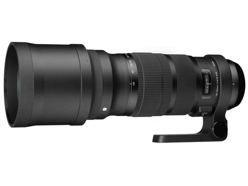 SIGMA 120-300mm F2.8 DG OS HSM | Sports