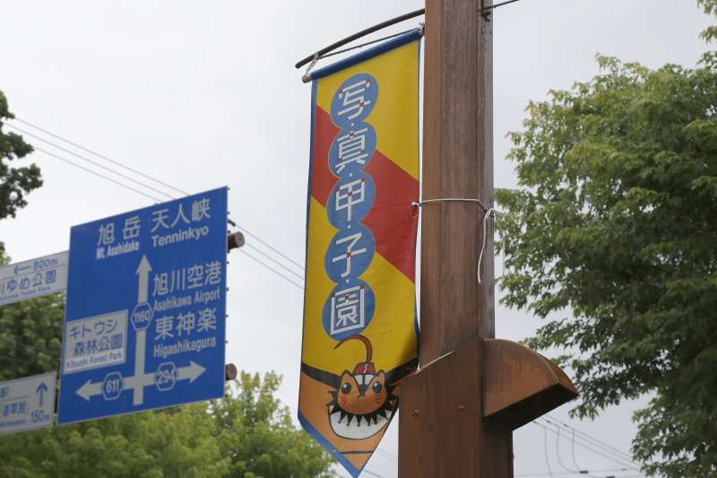 東川町にて。街灯には「写真甲子園」の旗