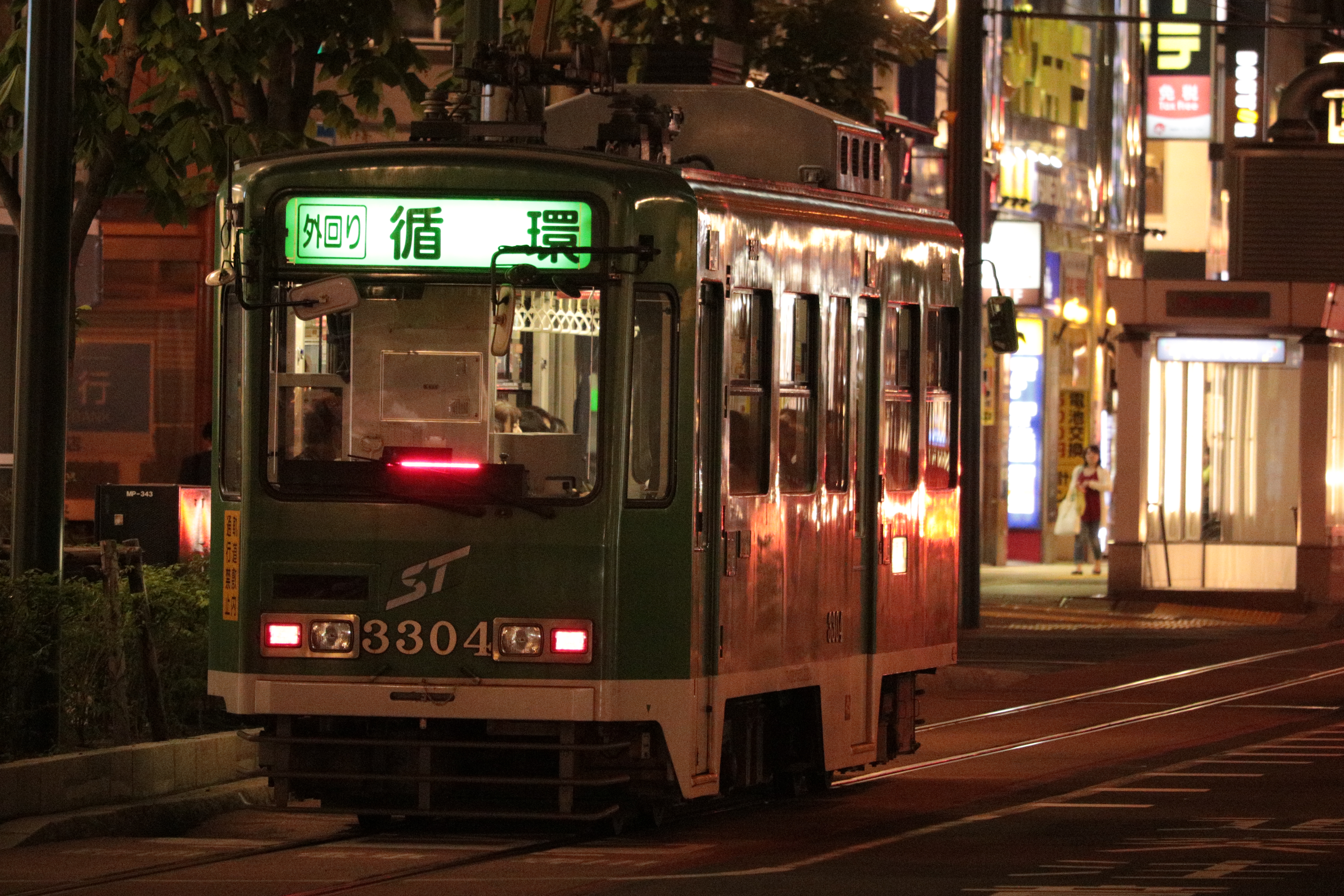 オリジナル（RAW+JPEGのうちのJPEG）EOS 80D / EF-S55-250mm F4-5.6 IS STM / 1/100秒 / F5.6 / ISO 6400 / 220mm