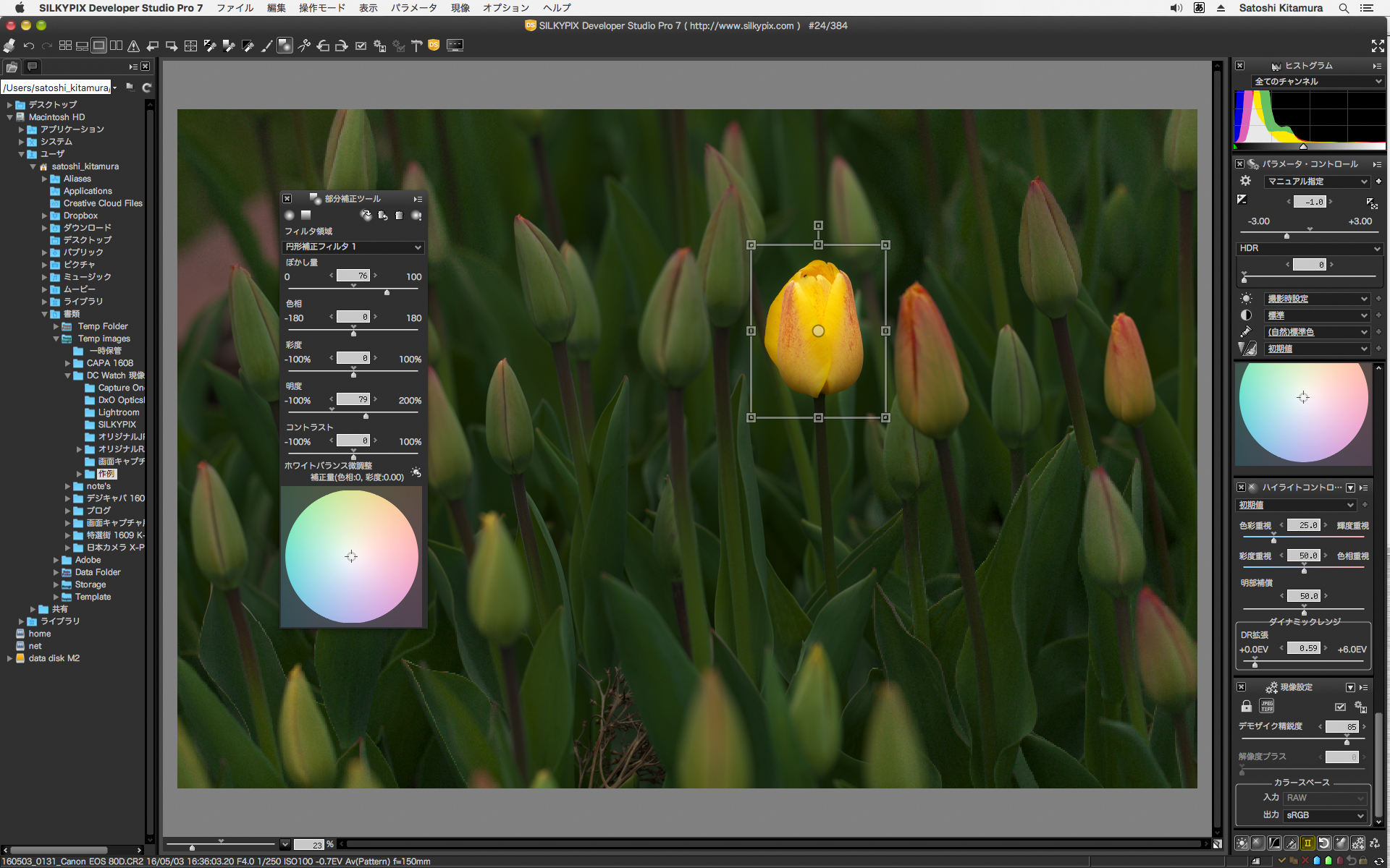 楕円形の範囲の内側だけ補正できる「円形補正フィルタ」を装備。