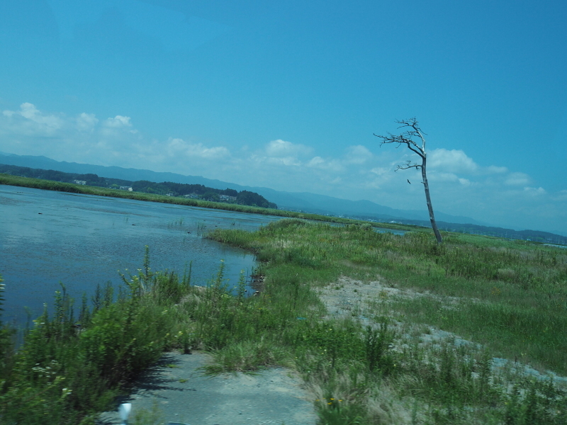 参加者の1人、正出七瀬さんの作品。「人や人工物のできるだけない所を撮りました。何もないという事実は、想像力を働かせれば物があること以上に自分たちに教えてくれることは大きいと思います」<br/><br/>安田さんのコメント「コンクリートや松など想像できるヒントが残されていて、私たちに想像力を問いかけてくる作品ですね」