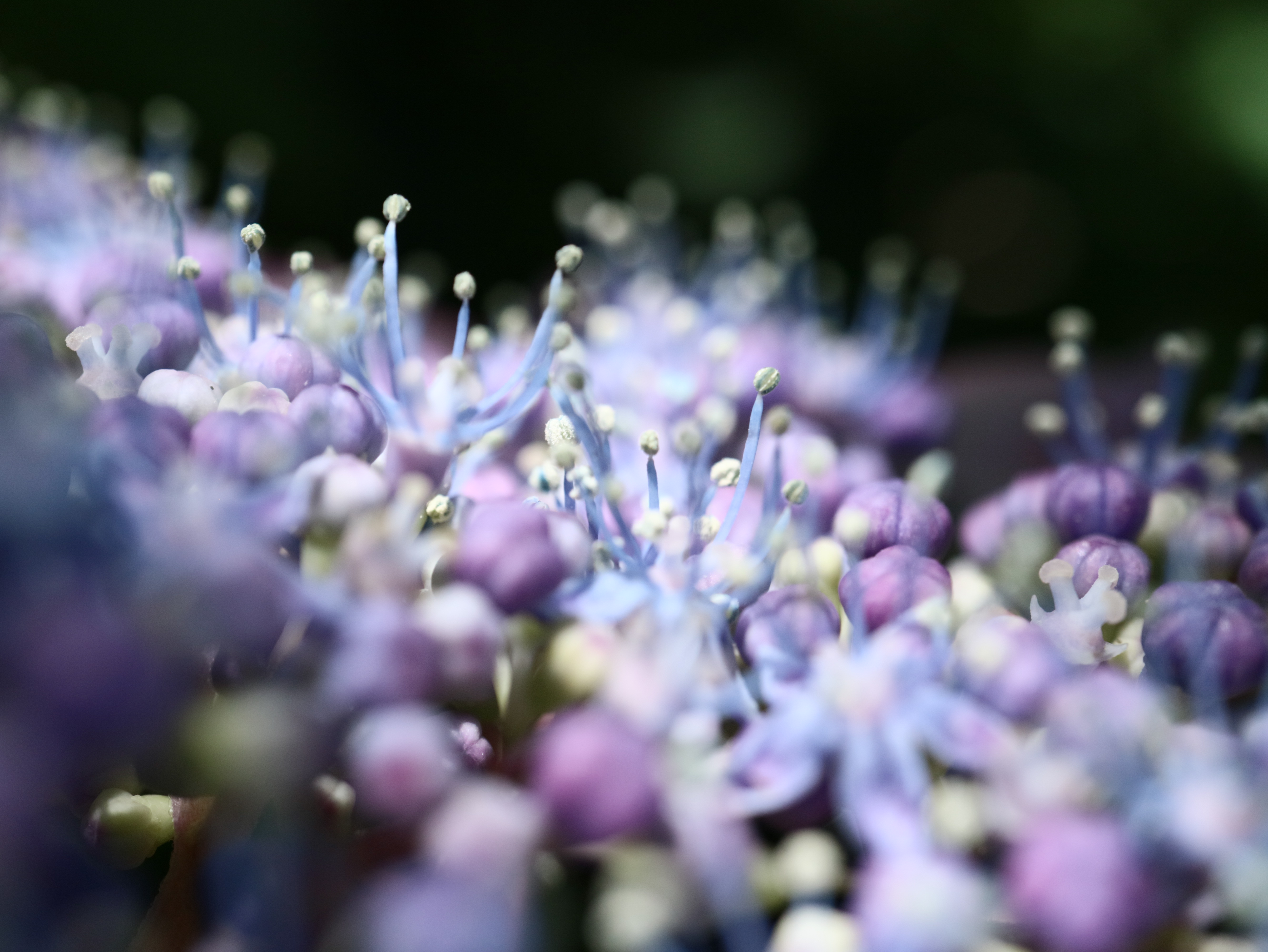 EOS M3 / EF-M 28mm F3.5 Macro IS STM（LED：消灯） / 1/2,000秒 / F5.6 / 0EV / ISO640 / マニュアル露出 / 28mm