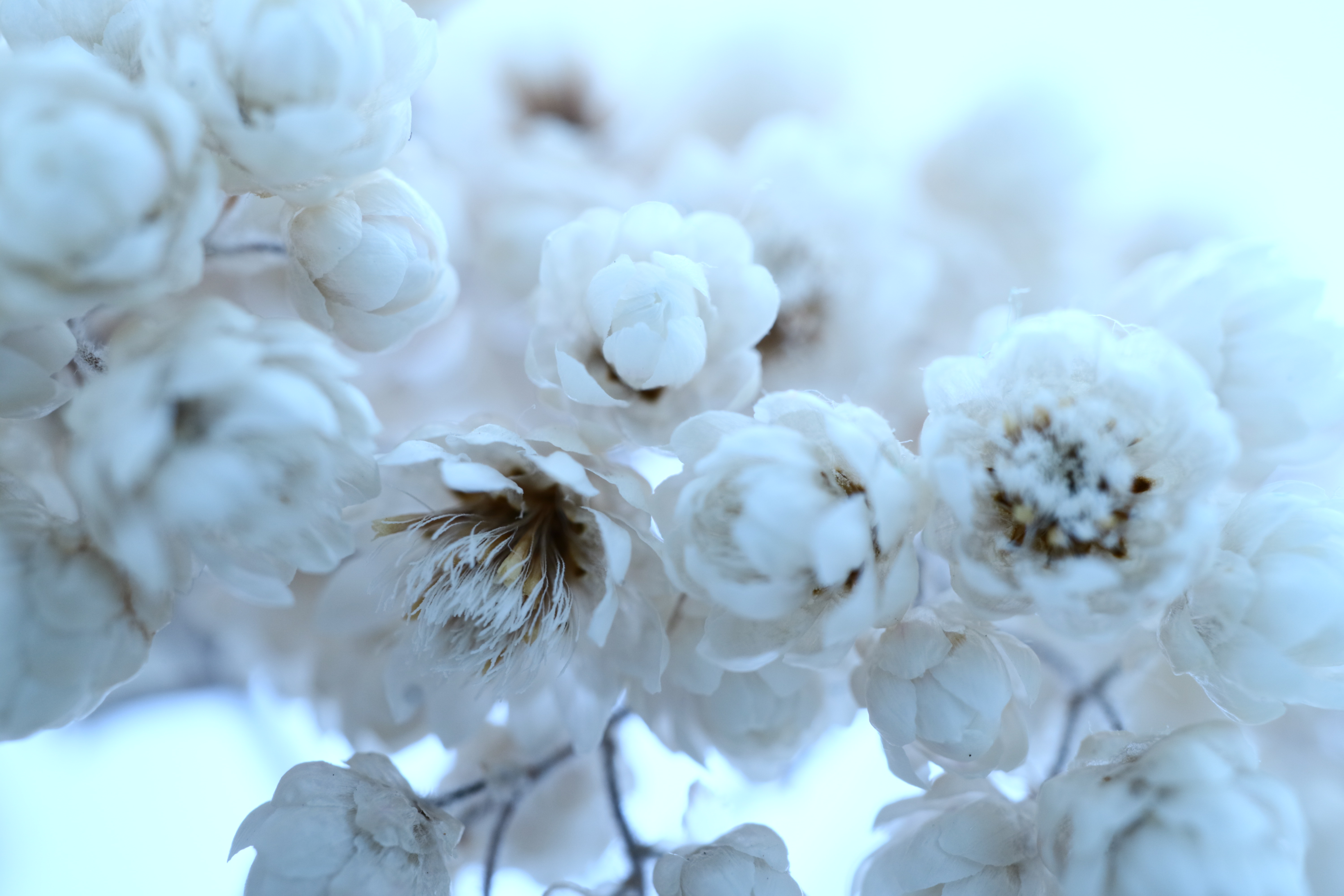 EOS M3 / EF-M 28mm F3.5 Macro IS STM（LED：消灯） / 1/160秒 / F6.3 / 0EV / ISO200 / マニュアル露出 / 28mm