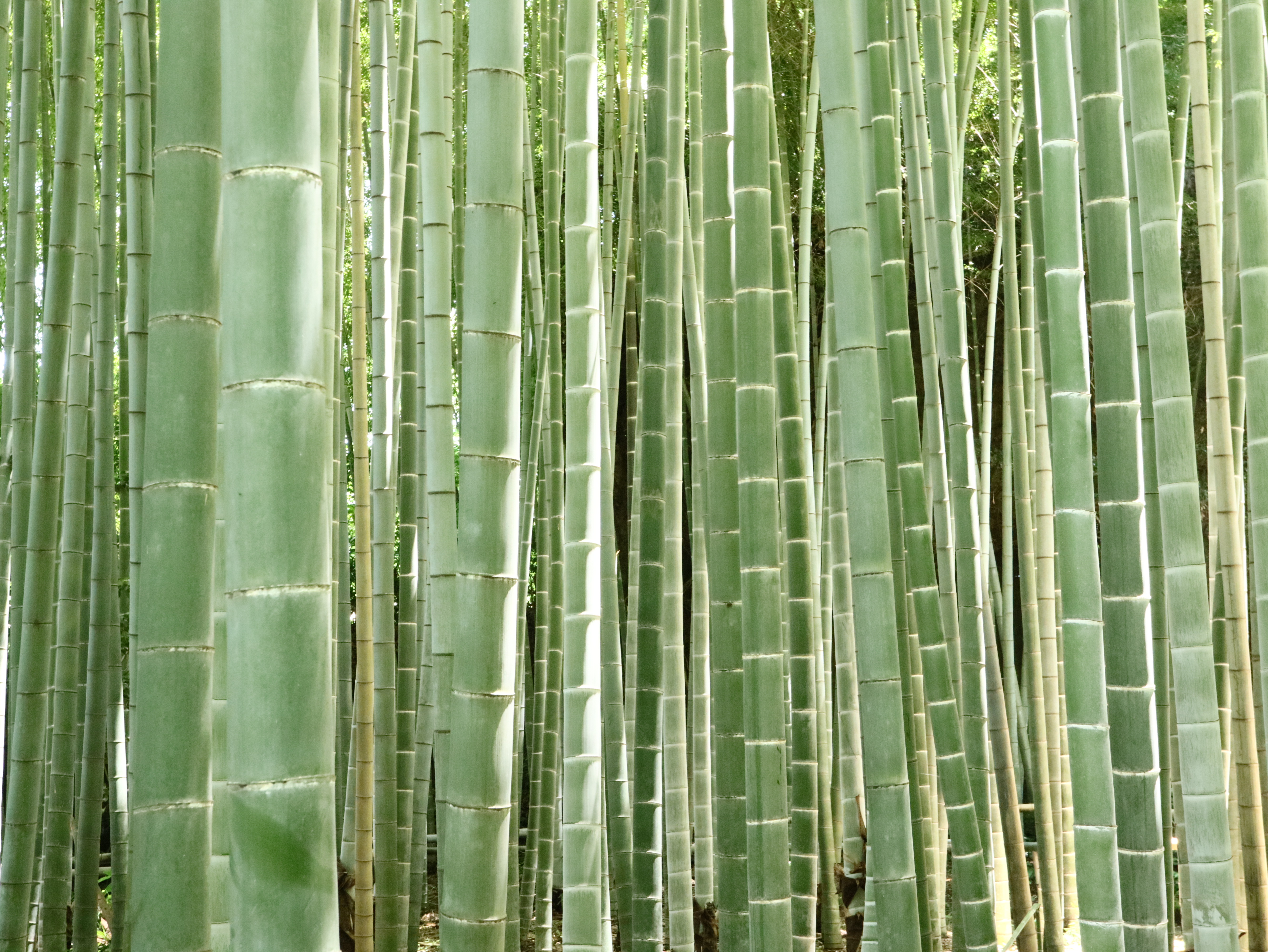 EOS M3 / EF-M 28mm F3.5 Macro IS STM（LED：消灯） / 1/40秒 / F8 / 0EV / ISO3200 / マニュアル露出 / 28mm