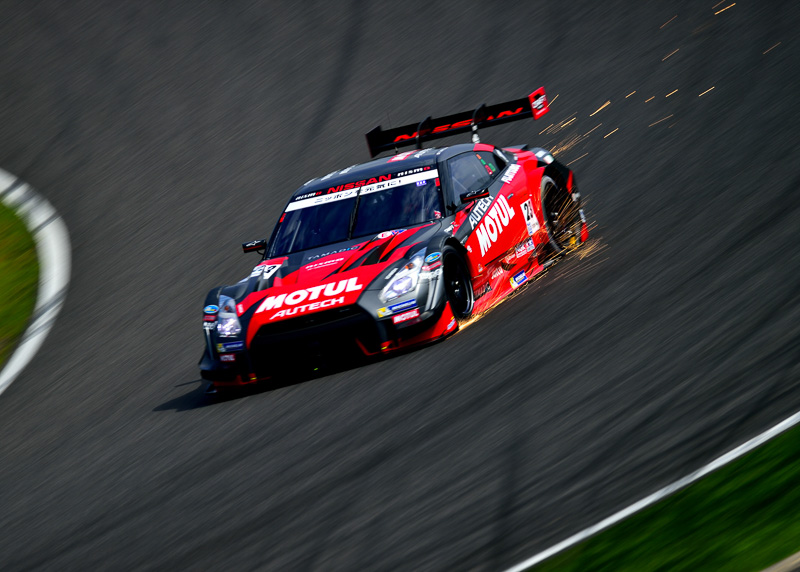 2014年ホワイトパールさんの作品