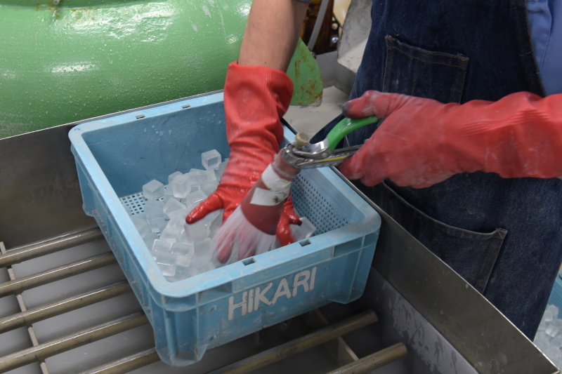 水洗いの様子は、まるで魚市場。水色の「HIKARI」トレーがいい
