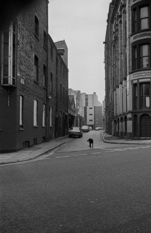 トミオ・セイケ写真展「Liverpool 1981」 - デジカメ Watch