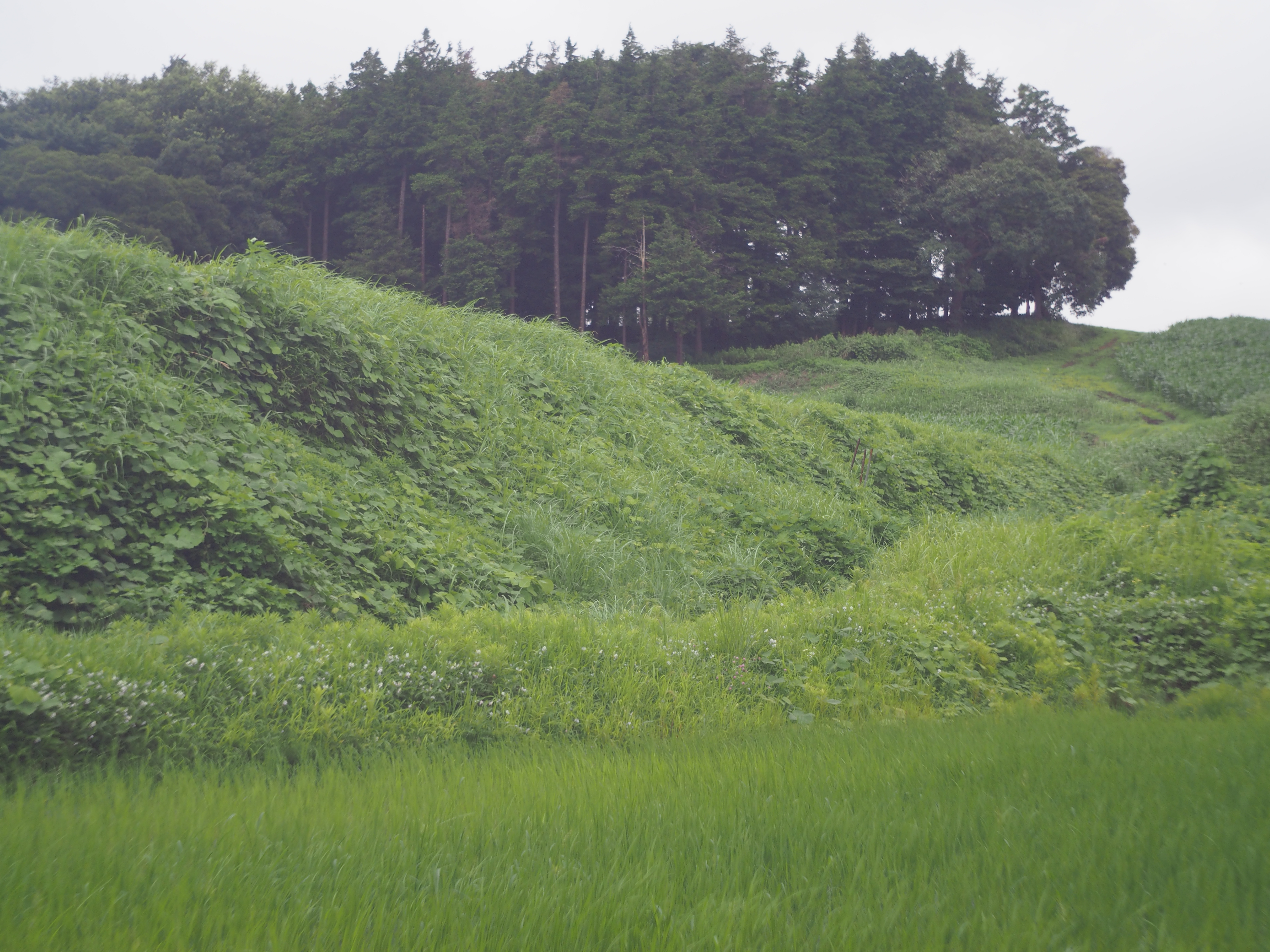 1/800秒 / F2.8 / 0EV / ISO200 / 絞り優先AE / 40mm