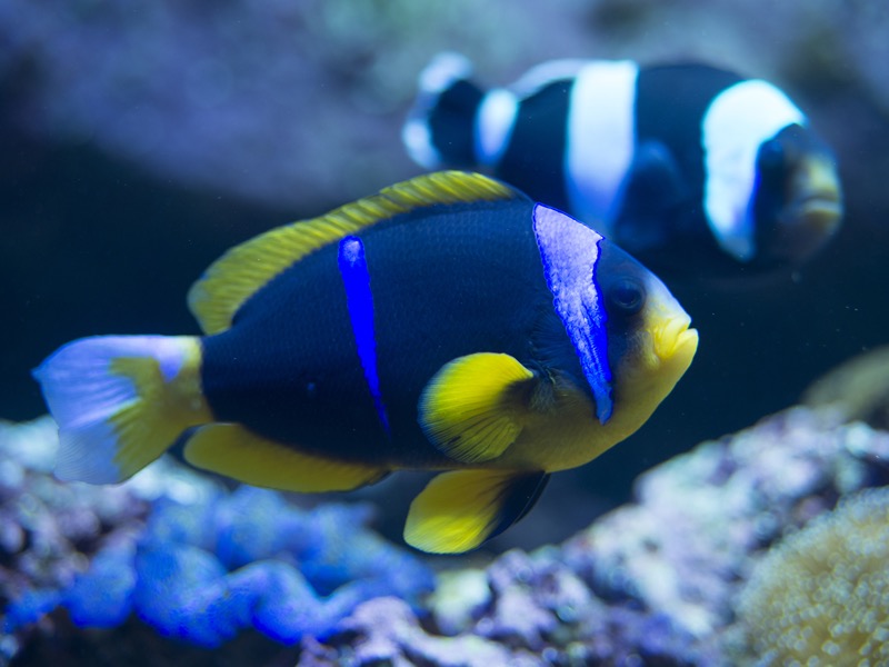 ホワイトバランス：蛍光灯。Lightroomで変更。