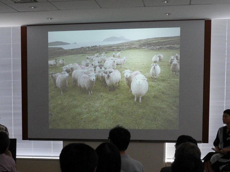 岡嶋和幸さんの作品。藤原新也氏の小説の舞台になったディングルで撮影