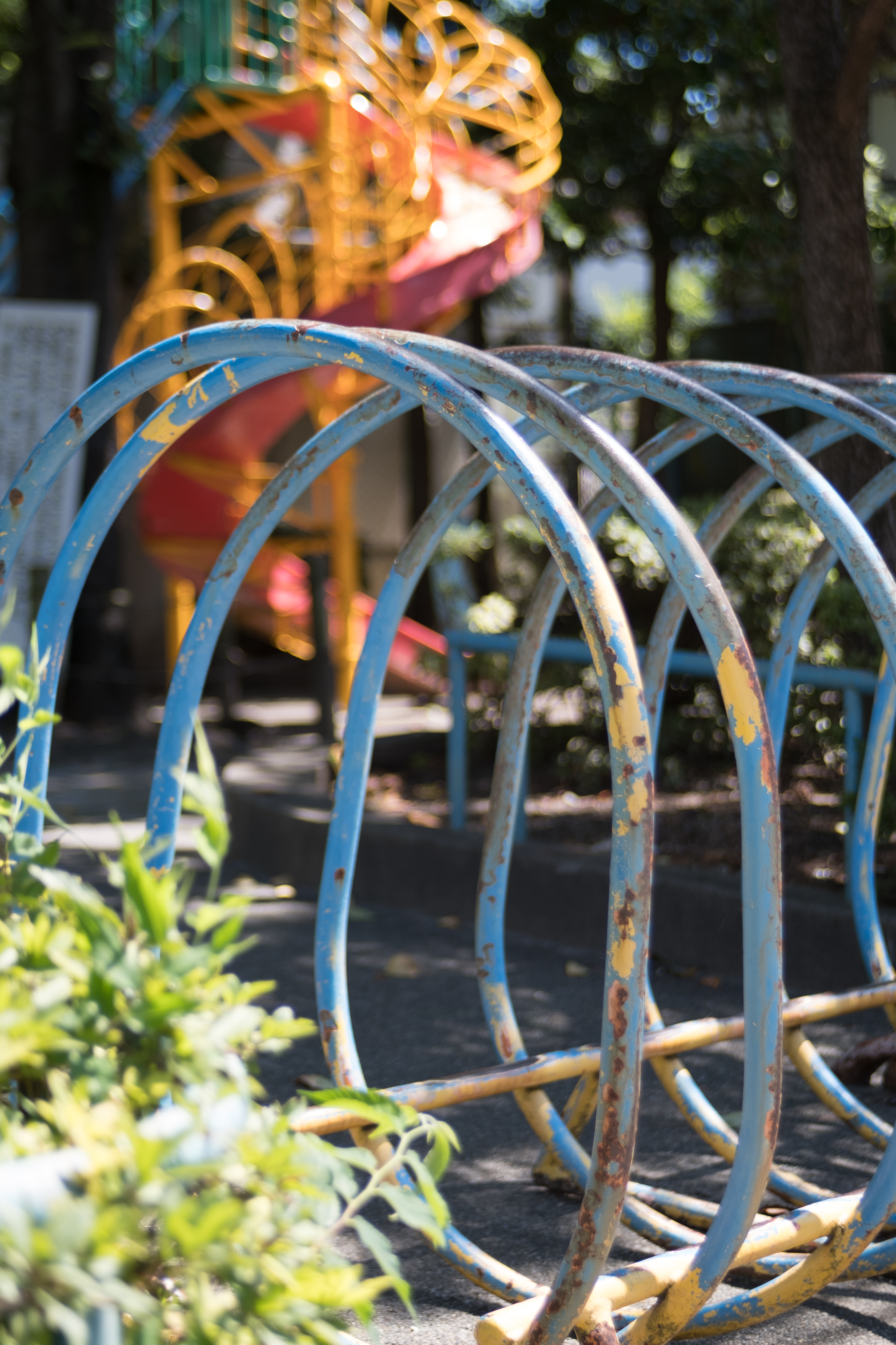 X-Pro2 / Iberit 50mm F2.4 / 1/950秒 / F2.4 / ±0EV / ISO200 / WB:オート