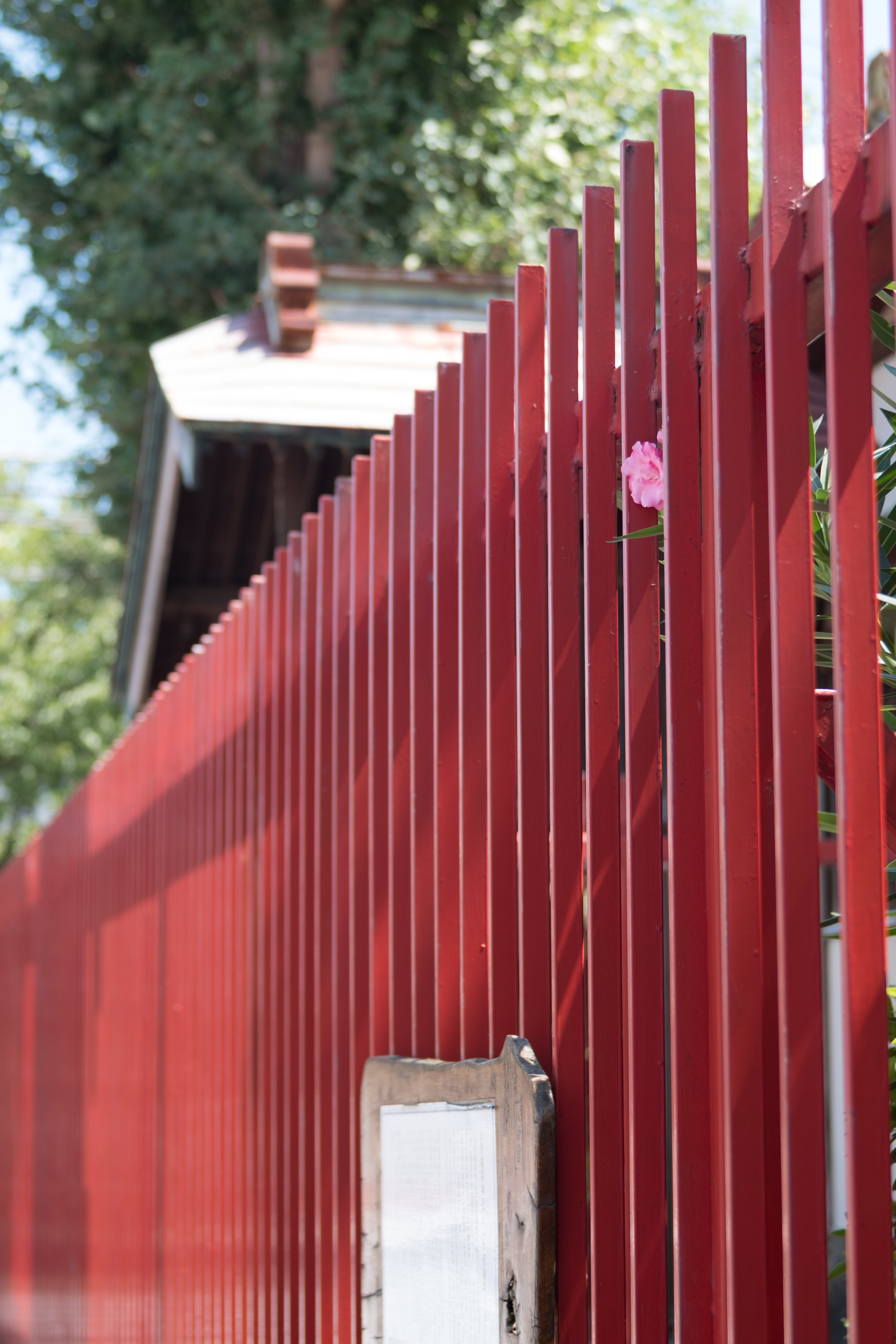 X-Pro2 / Iberit 50mm F2.4 / 1/300秒 / F4 / ±0EV / ISO200 / WB:オート