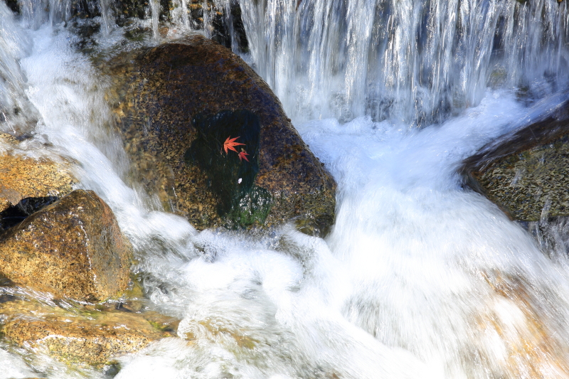 可変式NDフィルター非装着