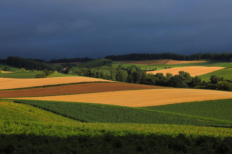 キヤノンEOS 5D Mark IV / 105mm / 絞り優先AE（F11、1/100秒、−1.3EV）/ ISO200 / WB：太陽光