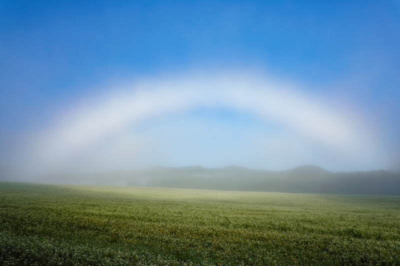 キヤノンEOS 5D Mark IV / 24mm / 絞り優先AE（F11、1/60秒、±0EV）/ ISO100 / WB：太陽光