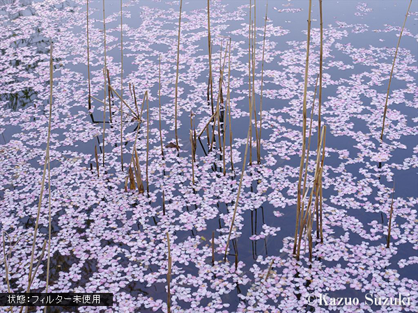 NDフィルタ未使用時の作例（ケンコー・トキナー提供）