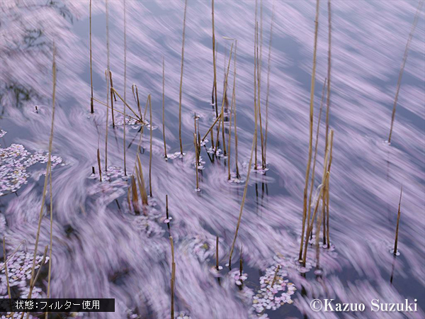 NDフィルタ使用時の作例（ケンコー・トキナー提供）