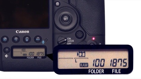 特別企画：EOS-1D X Mark IIで「無限連写」ができるって本当