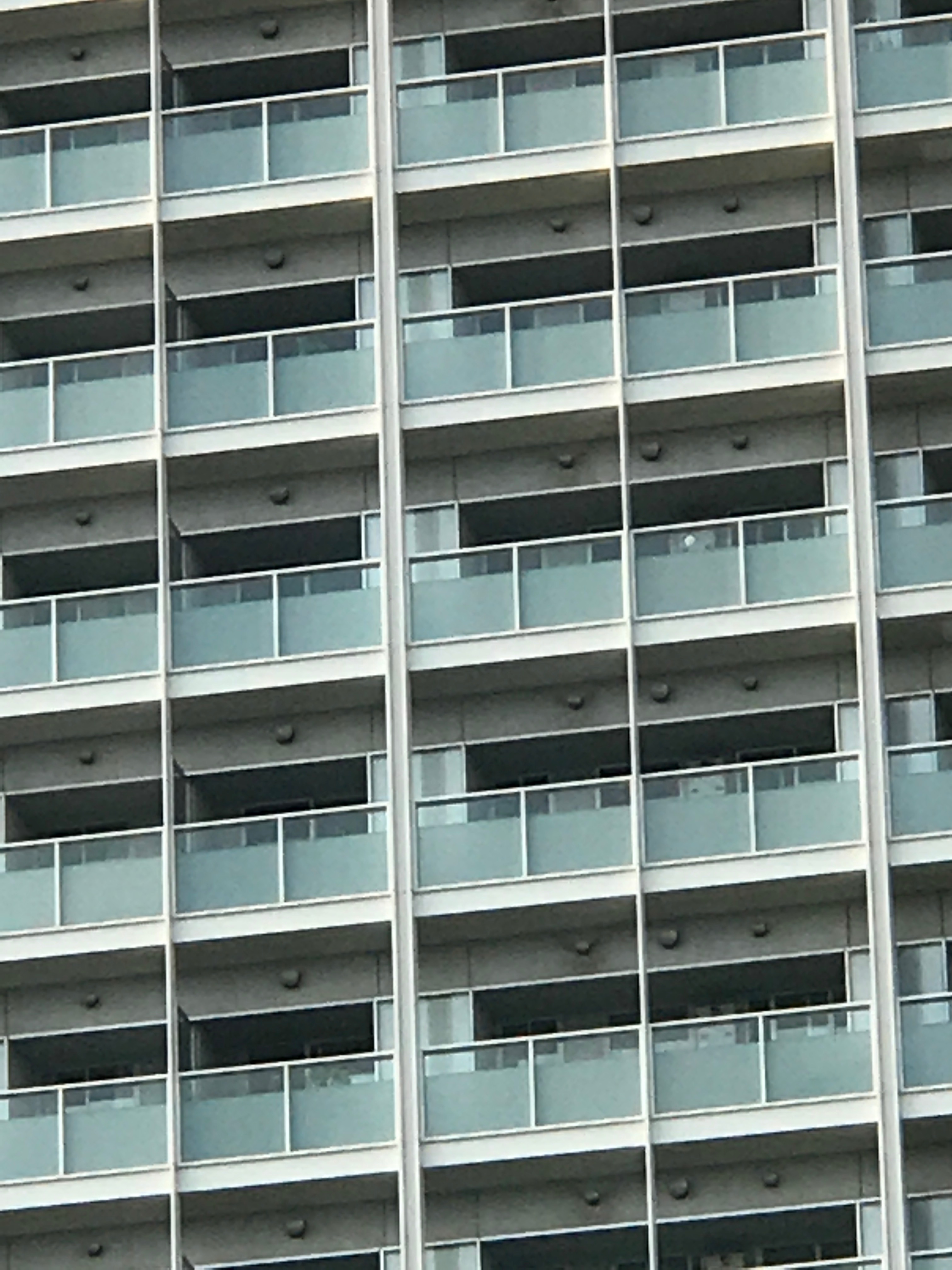 iPhone 7 Plus / 1/580秒 / F2.8 / ISO20 / 284mm相当（デジタルズーム）