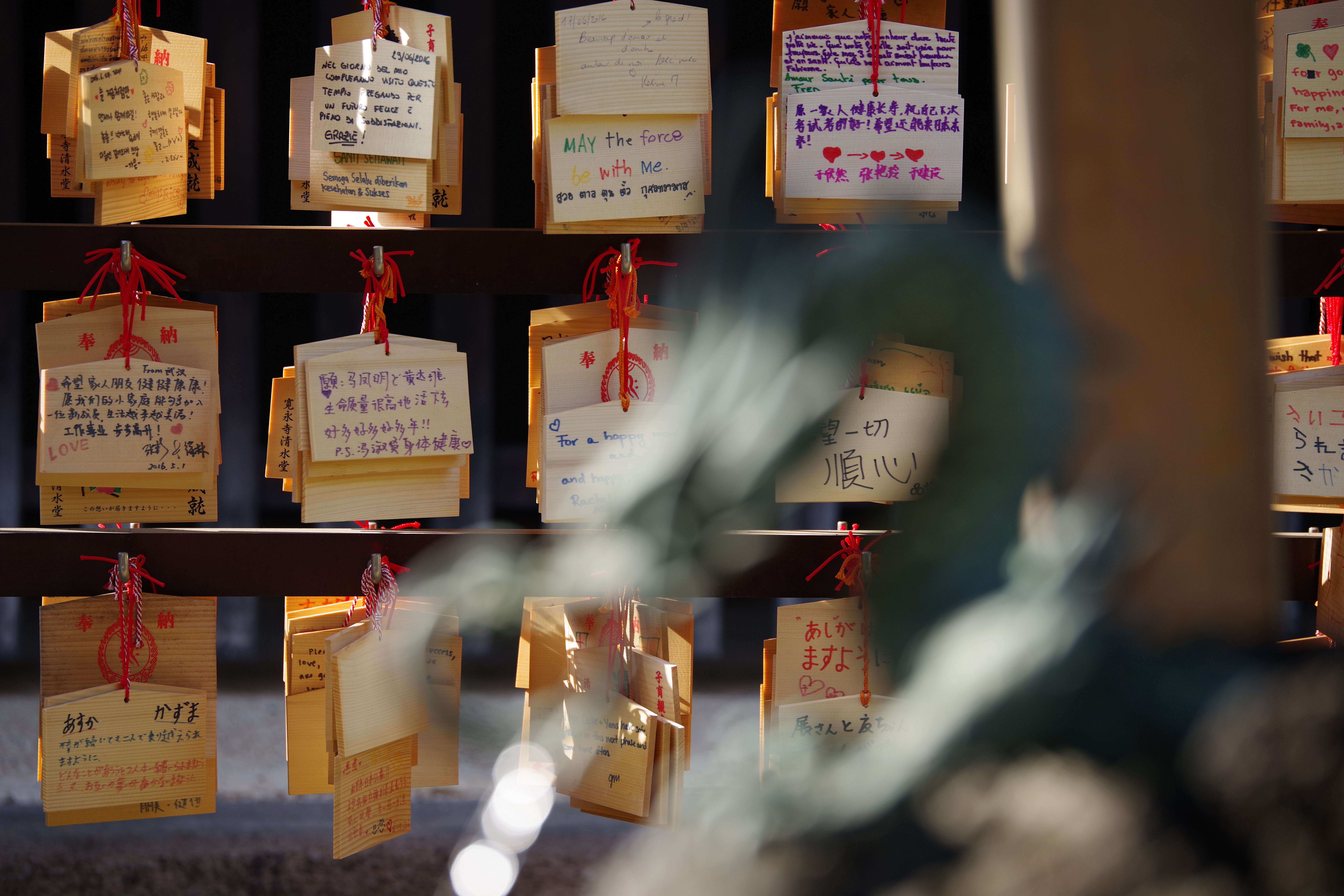 K-1 / 1/250秒 / F4.5 / -0.7EV / ISO200 / 絞り優先AE / 200mm