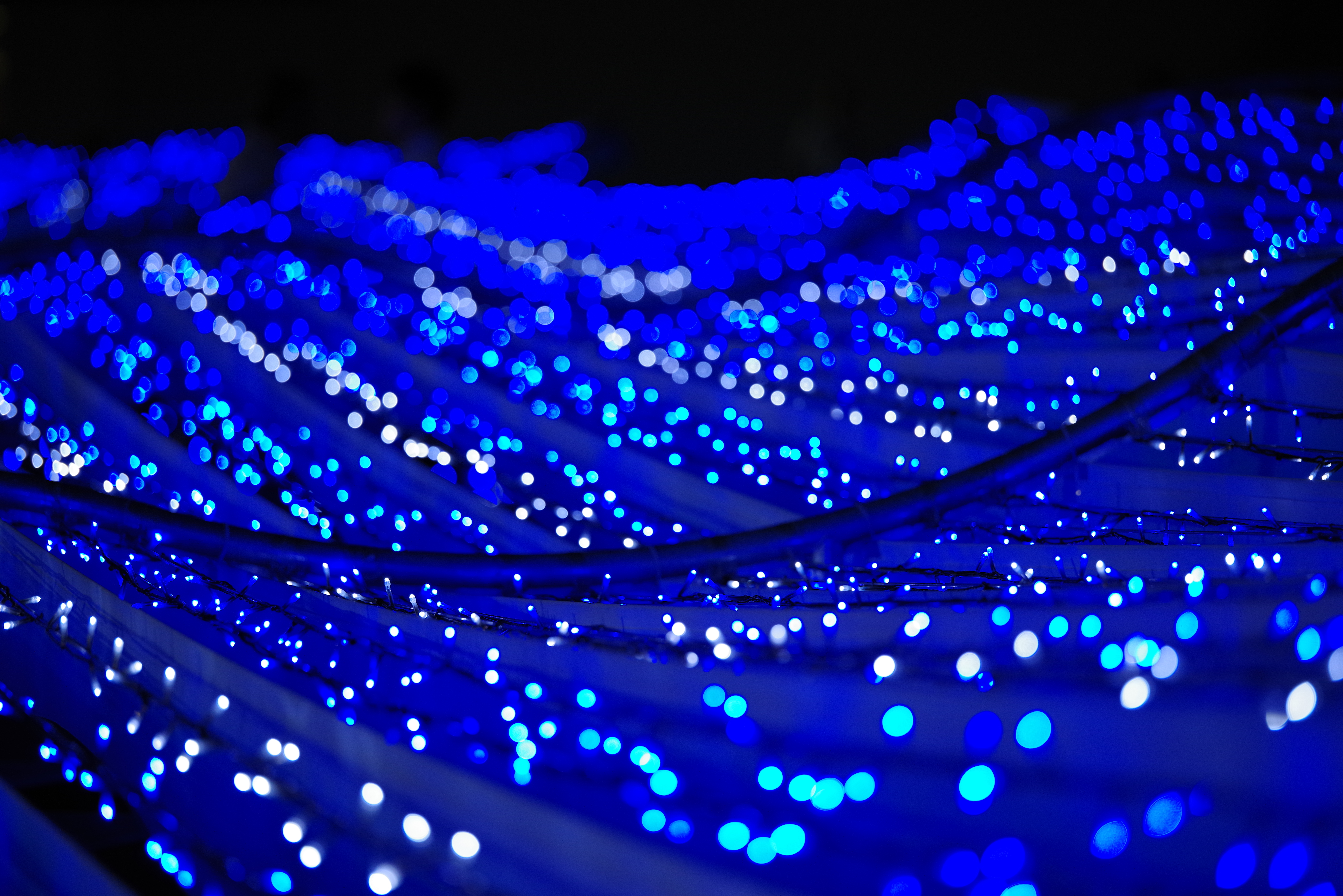 K-1 / 1/640秒 / F2.8 / -1EV / ISO800 / 絞り優先AE / 170mm