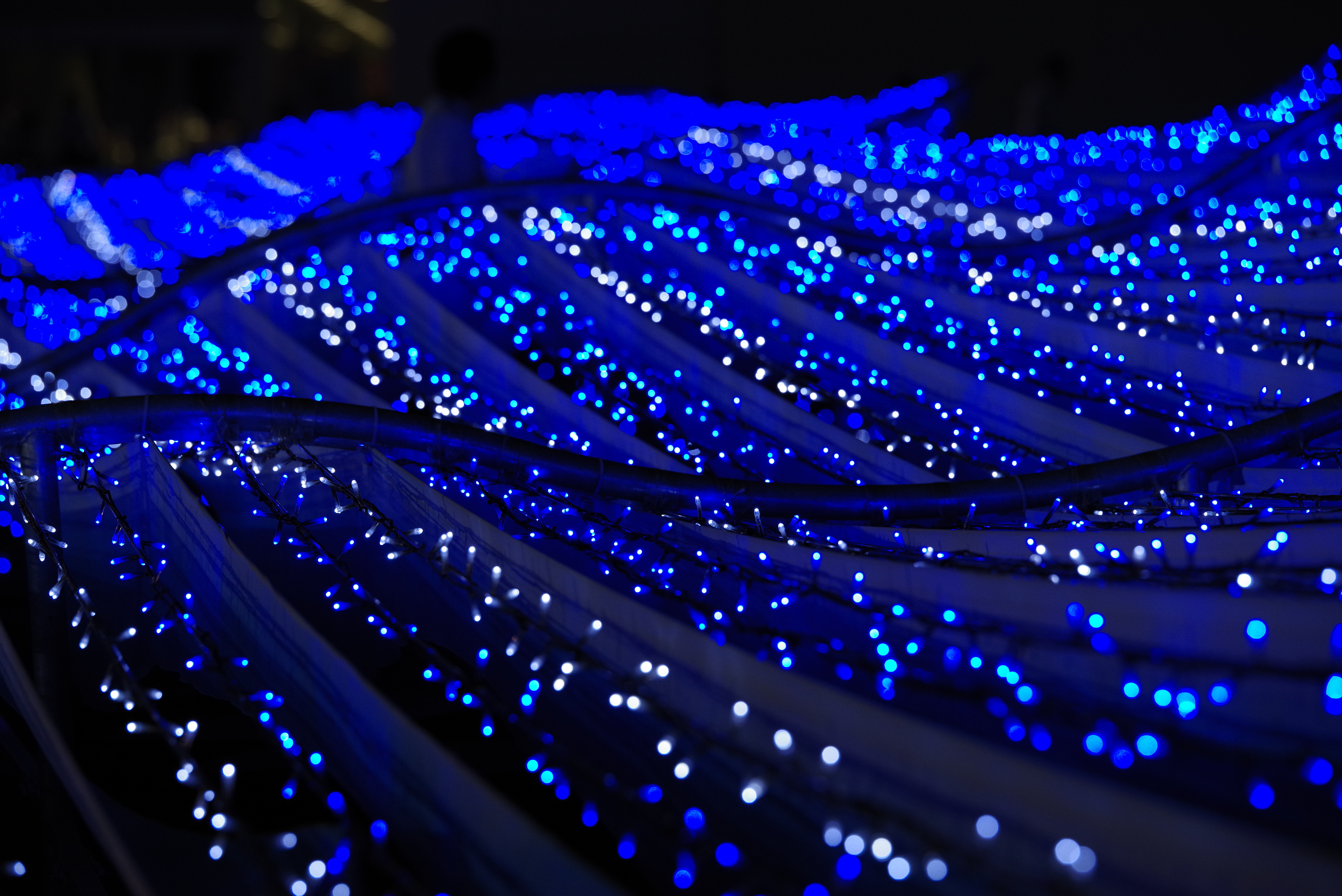 K-1 / 1/250秒 / F4.5 / -1EV / ISO800 / 絞り優先AE / 160mm