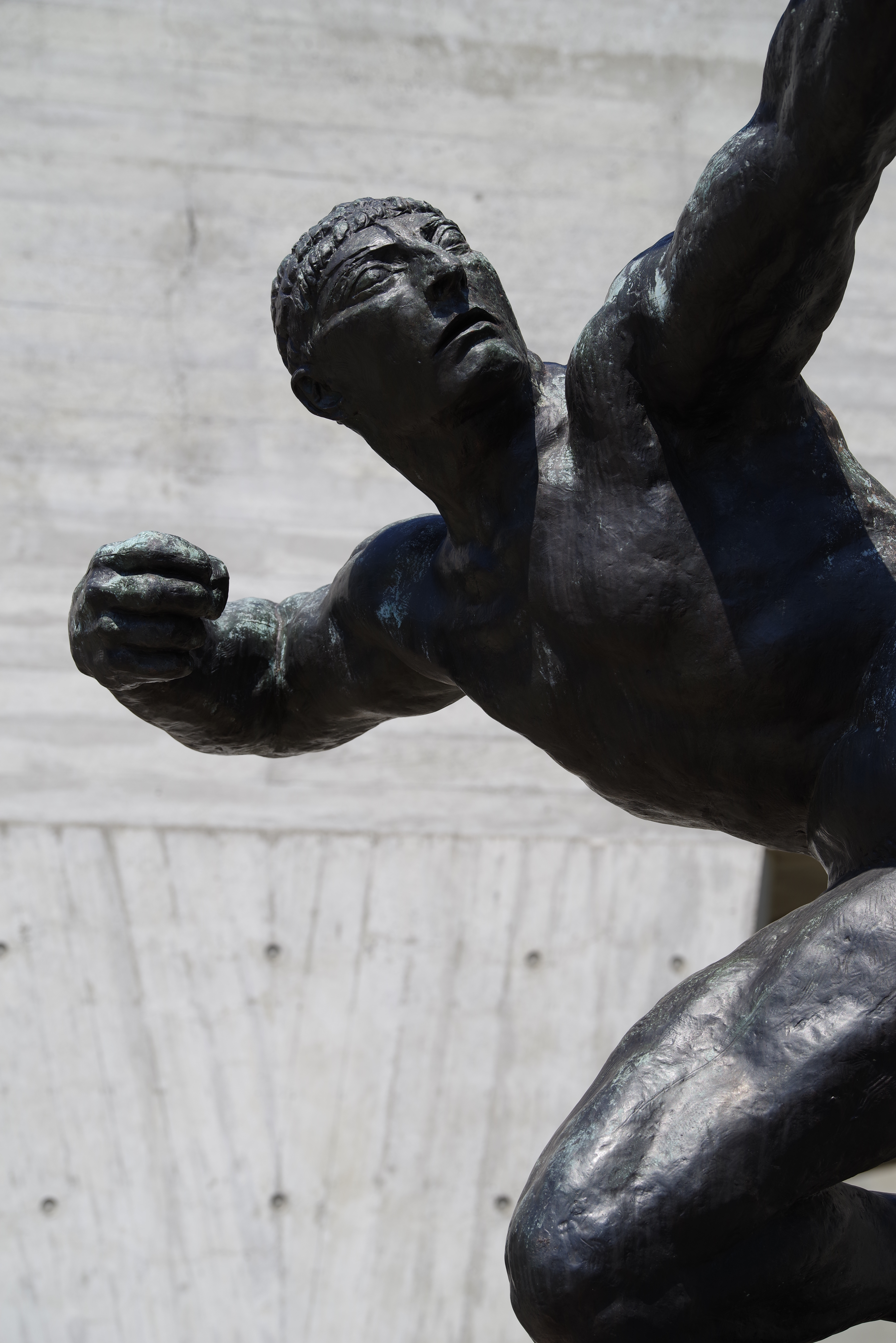 K-1 / 1/250秒 / F8 / 0EV / ISO100 / 絞り優先AE / 150mm