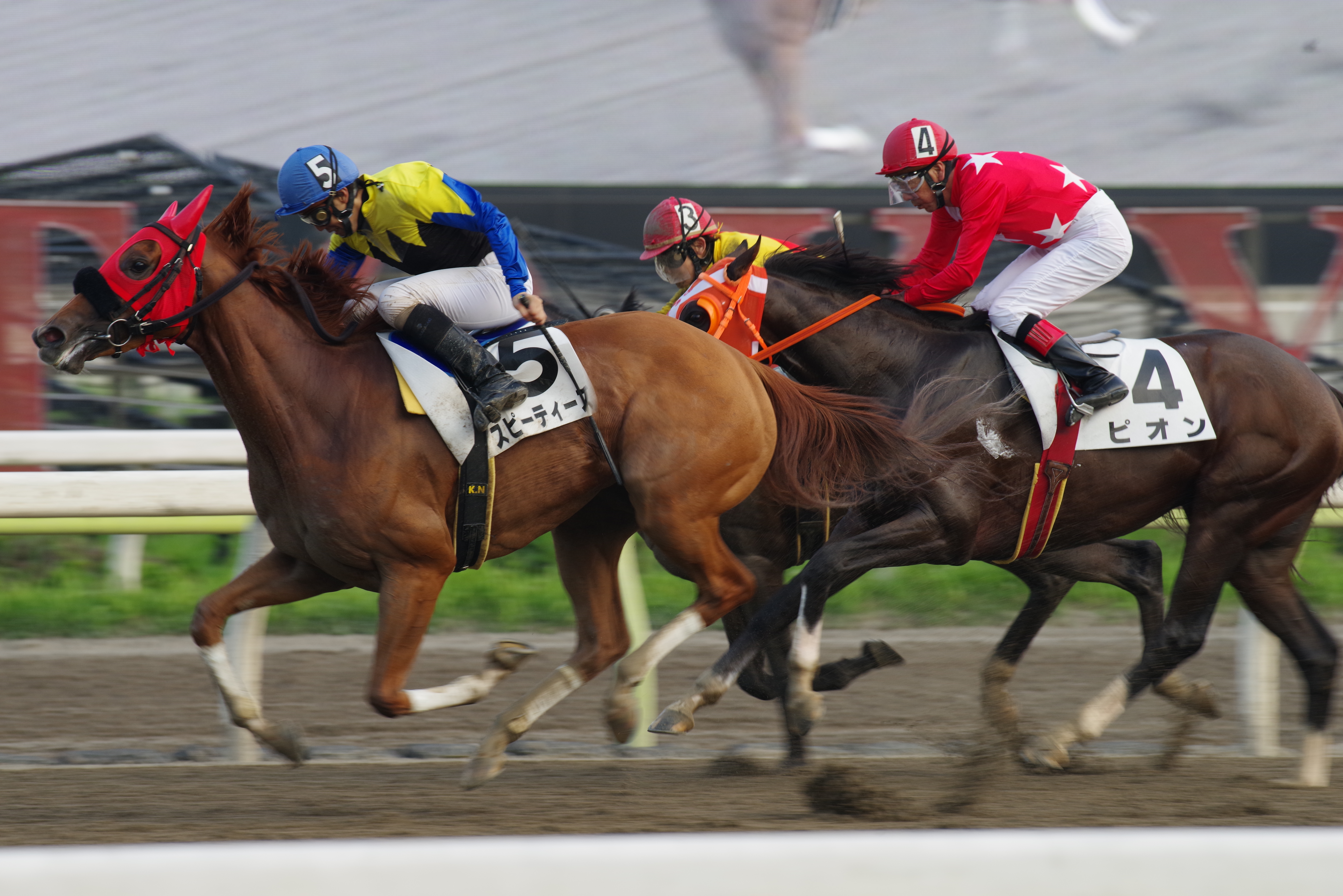 K-1 / 1/250秒 / F8 / 0EV / ISO640 / プログラム / 360mm / 撮影協力：<a href="http://www.tokyocitykeiba.com/" class="n" target="_blank">大井競馬場（東京シティ競馬）</a>