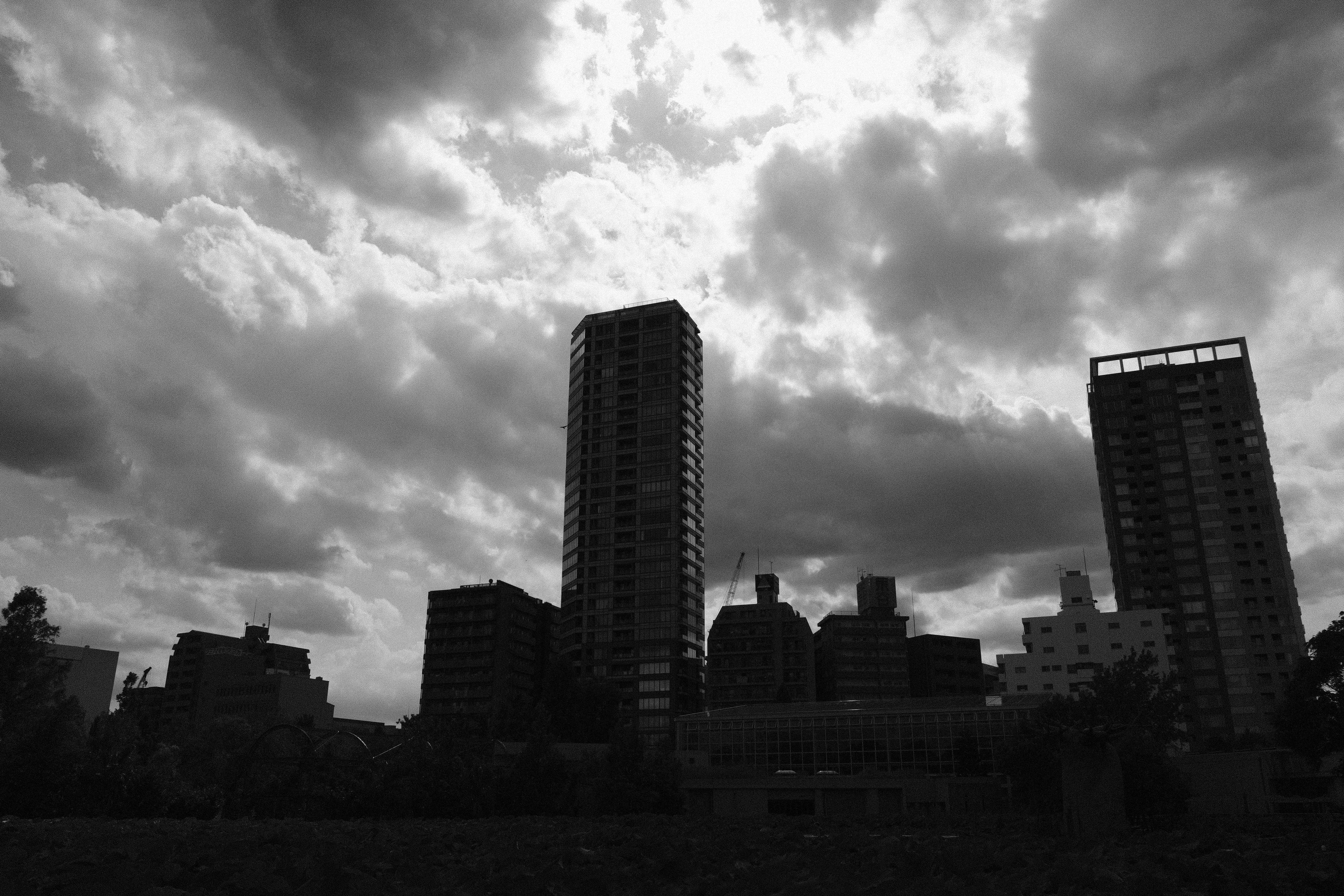 XF18-55mm F2.8-4 R LM OIS / 18mm（27mm相当） / F8 / 1/1500秒 / ±0EV / ISO200 / フィルムシミュレーション：ACROS