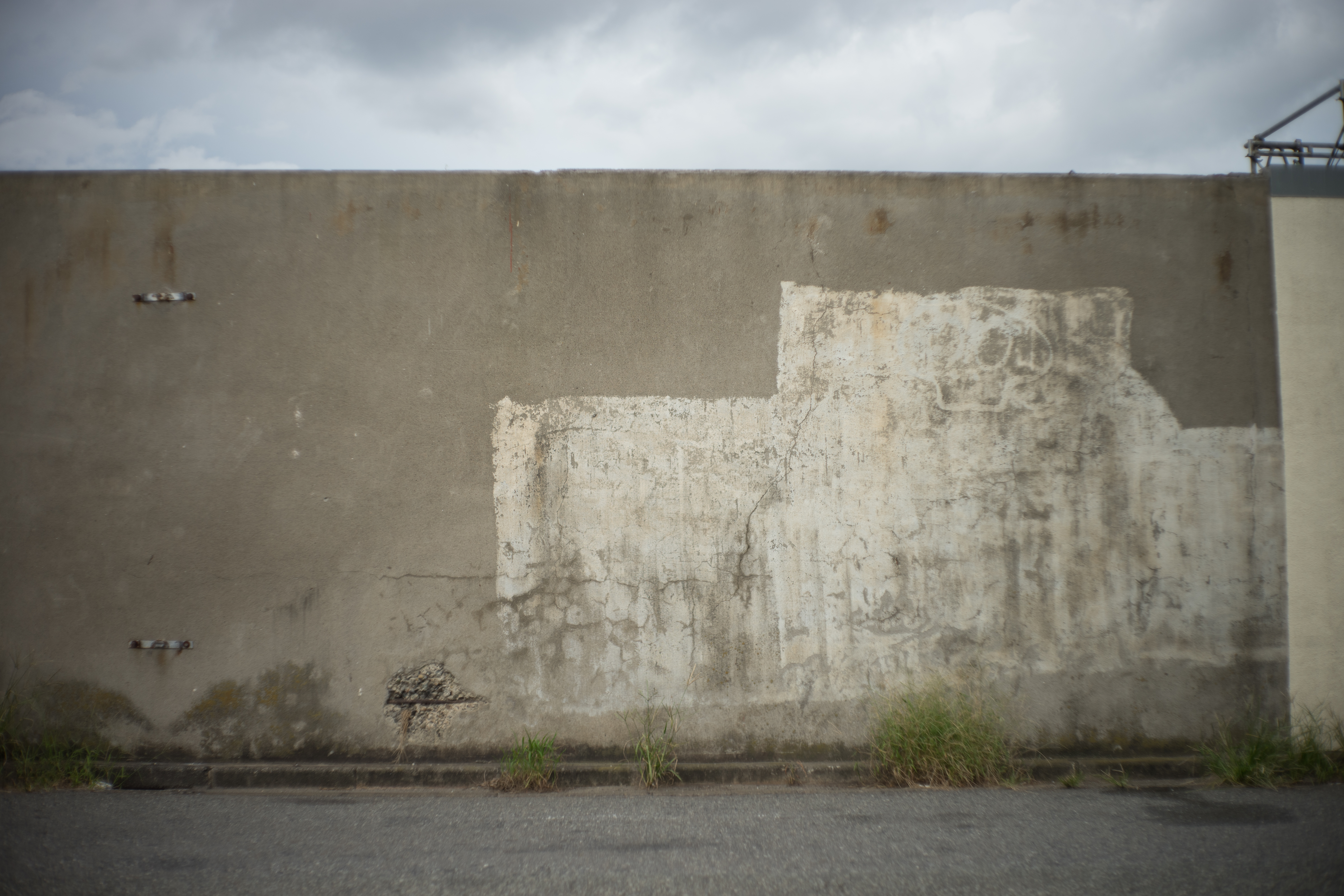 α7 II / Quinon 50mm F2 / 1/2,500秒 / F2 / ±0EV / ISO100 / WB:オート