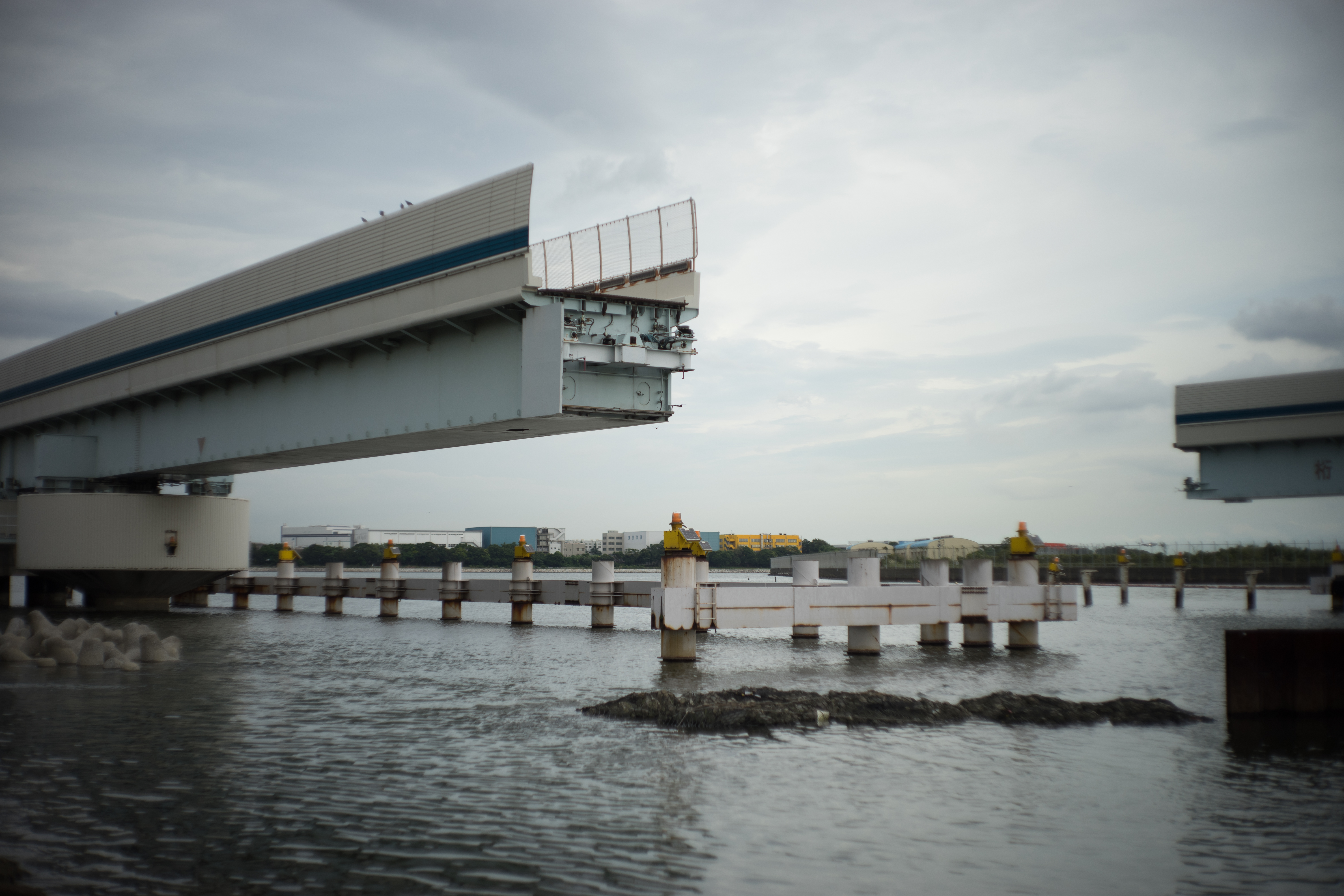 α7 II / Quinon 50mm F2 / 1/3,200秒 / F2 / ±0EV / ISO100 / WB:オート