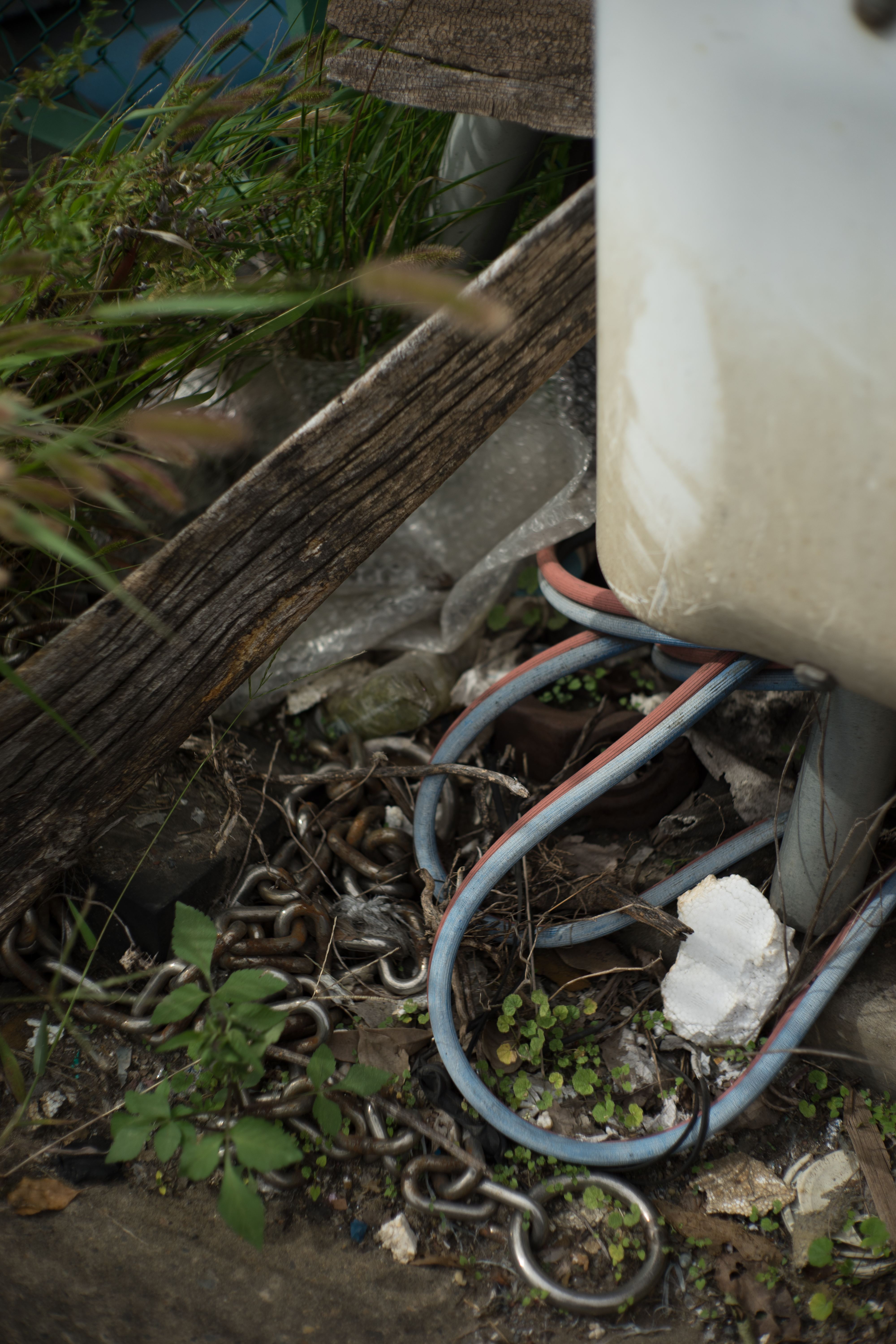 α7 II / Quinon 50mm F2 / 1/2,500秒 / F2.8 / -0.7EV / ISO100 / WB:オート