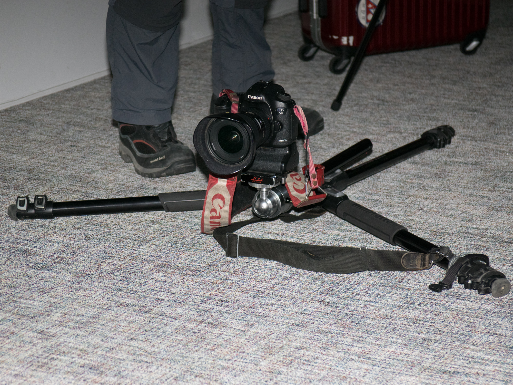 視点を固定して機を待つのに三脚は欠かせない。