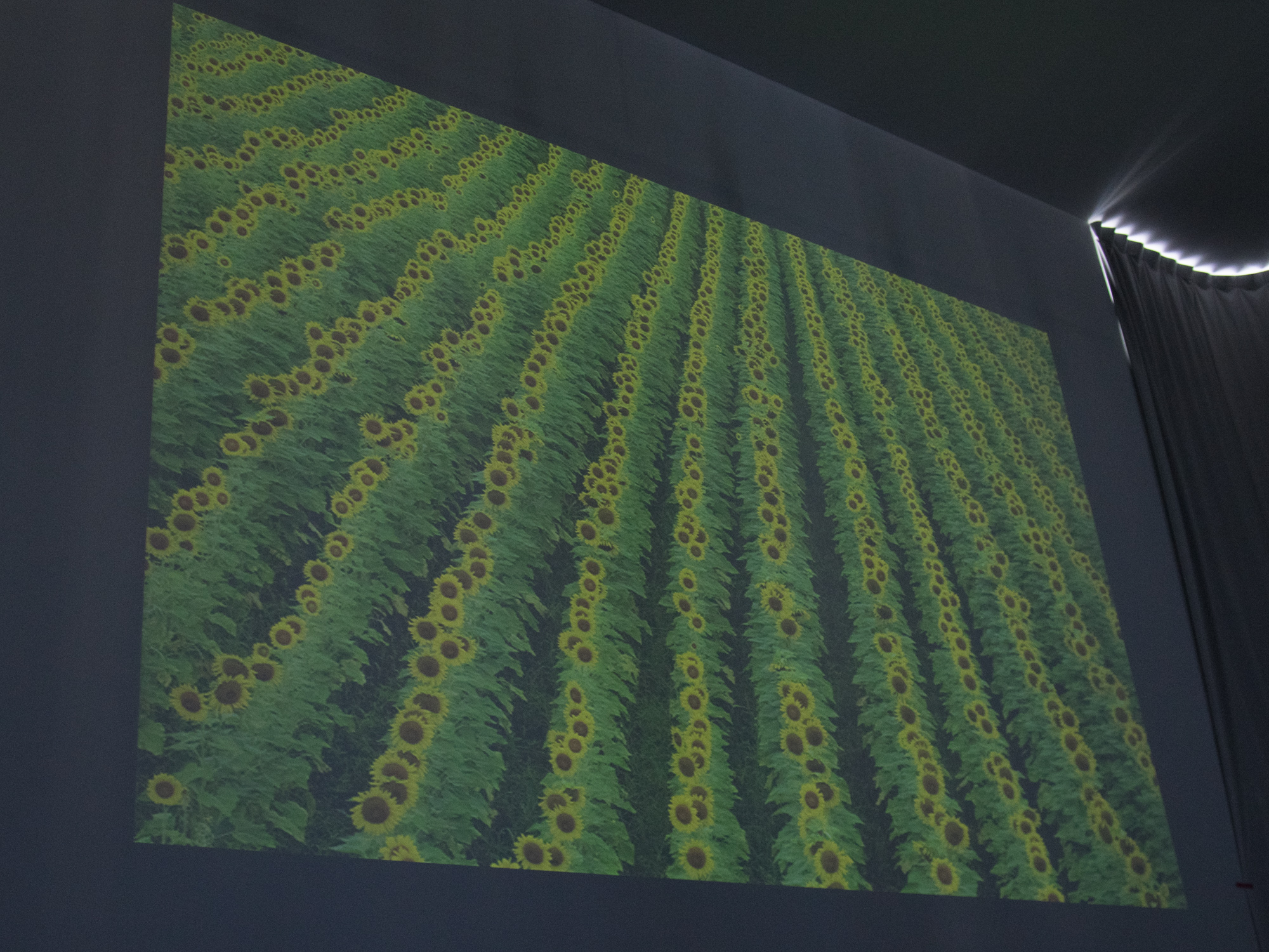 撮影する場所を変えると、まったく違う状況が現れる。