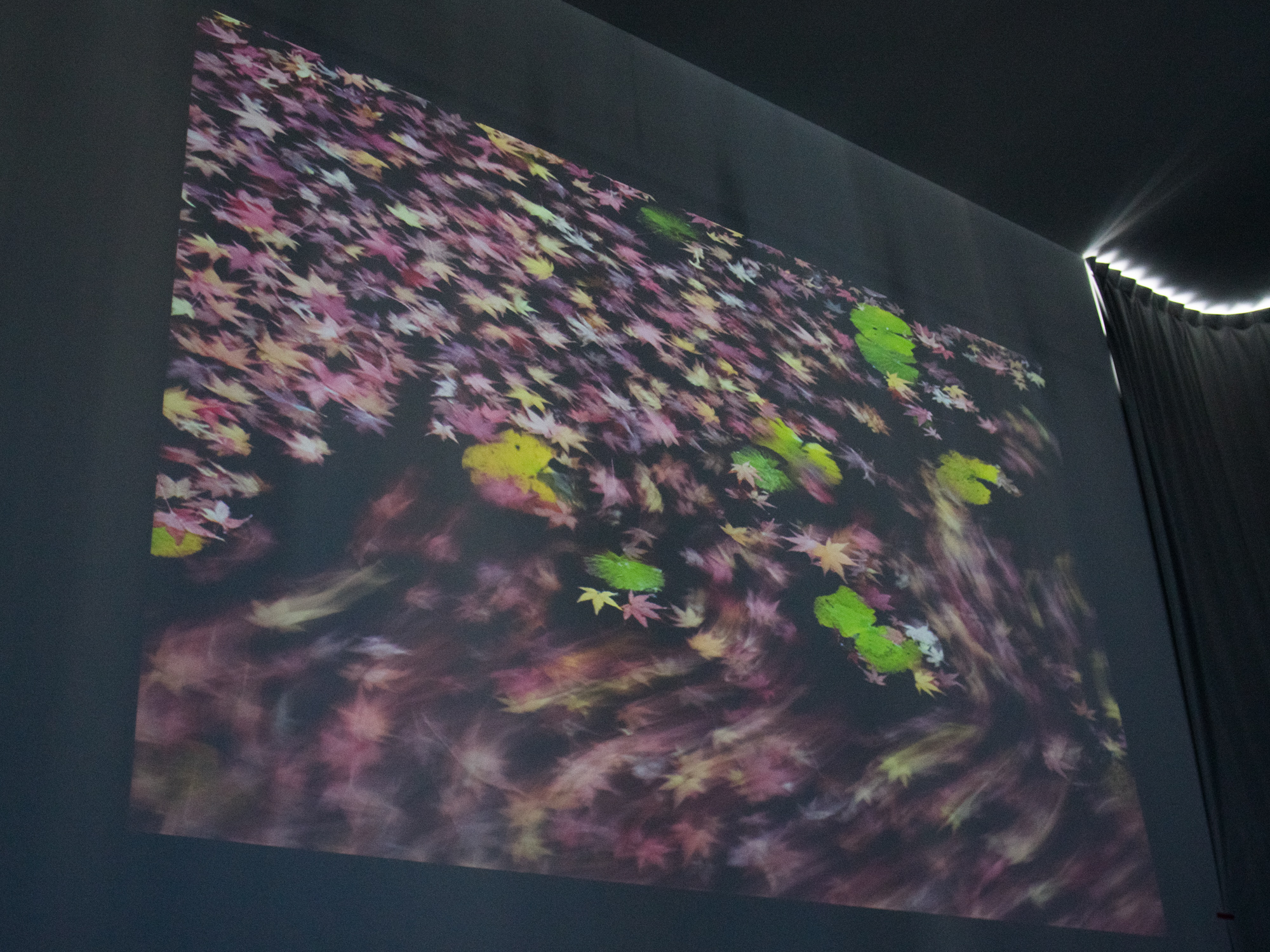 スローシャッターで水面の動きを撮る手法も紹介。水の流れをよく見て、構図の中で流れの大きさをコントロールする。