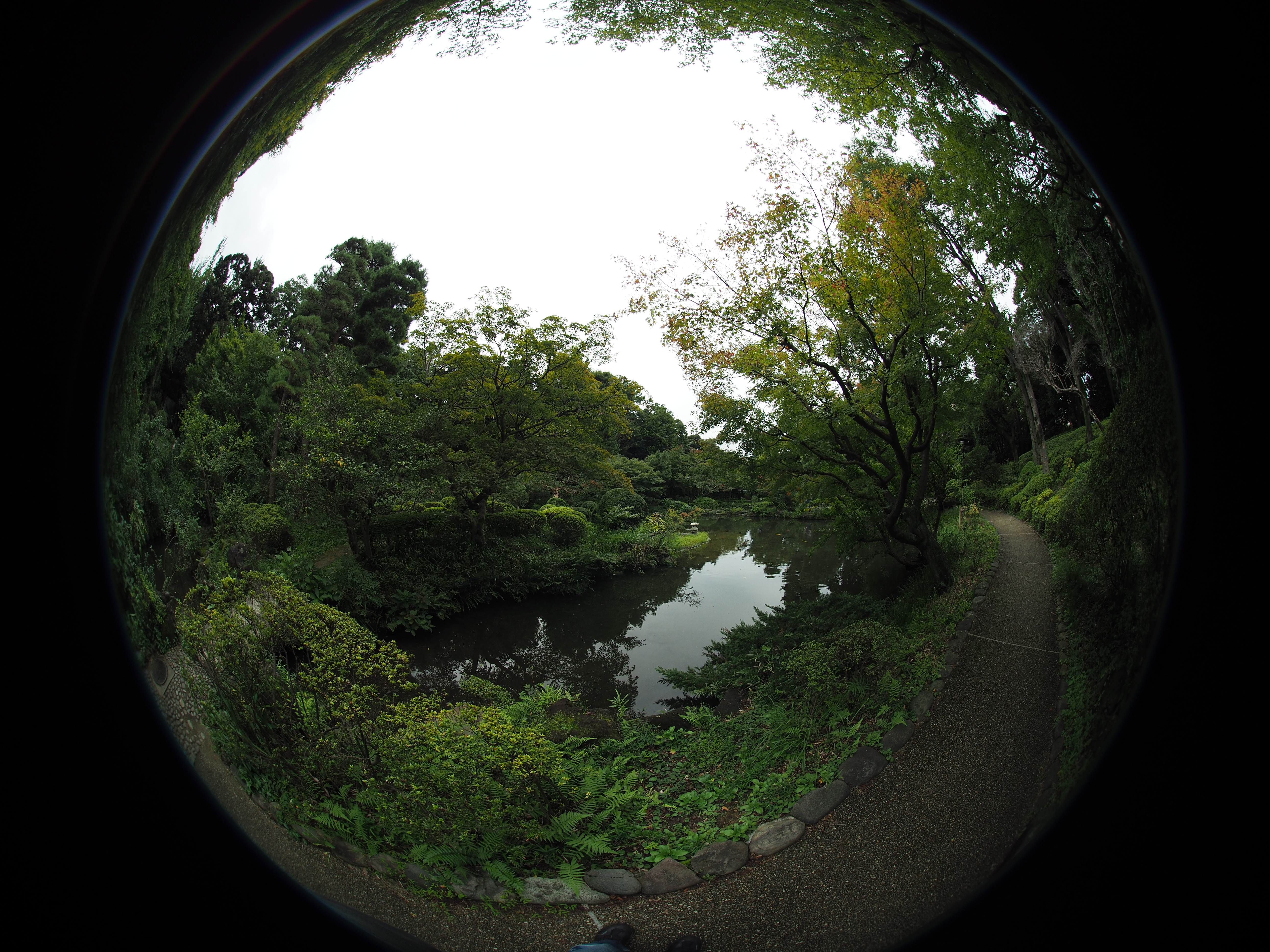 作例（インタニヤ提供）