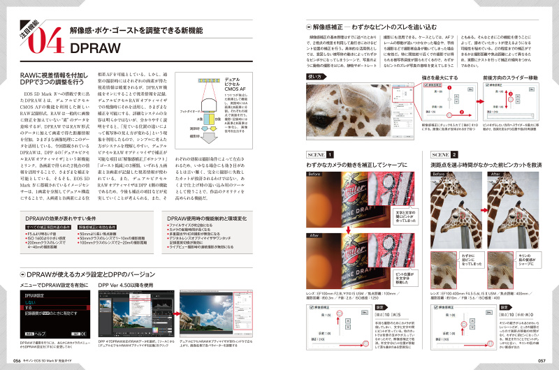 DPRAWを4ページにわたり検証