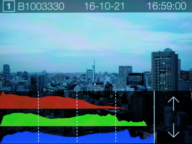 ヒストグラムを表示したところ