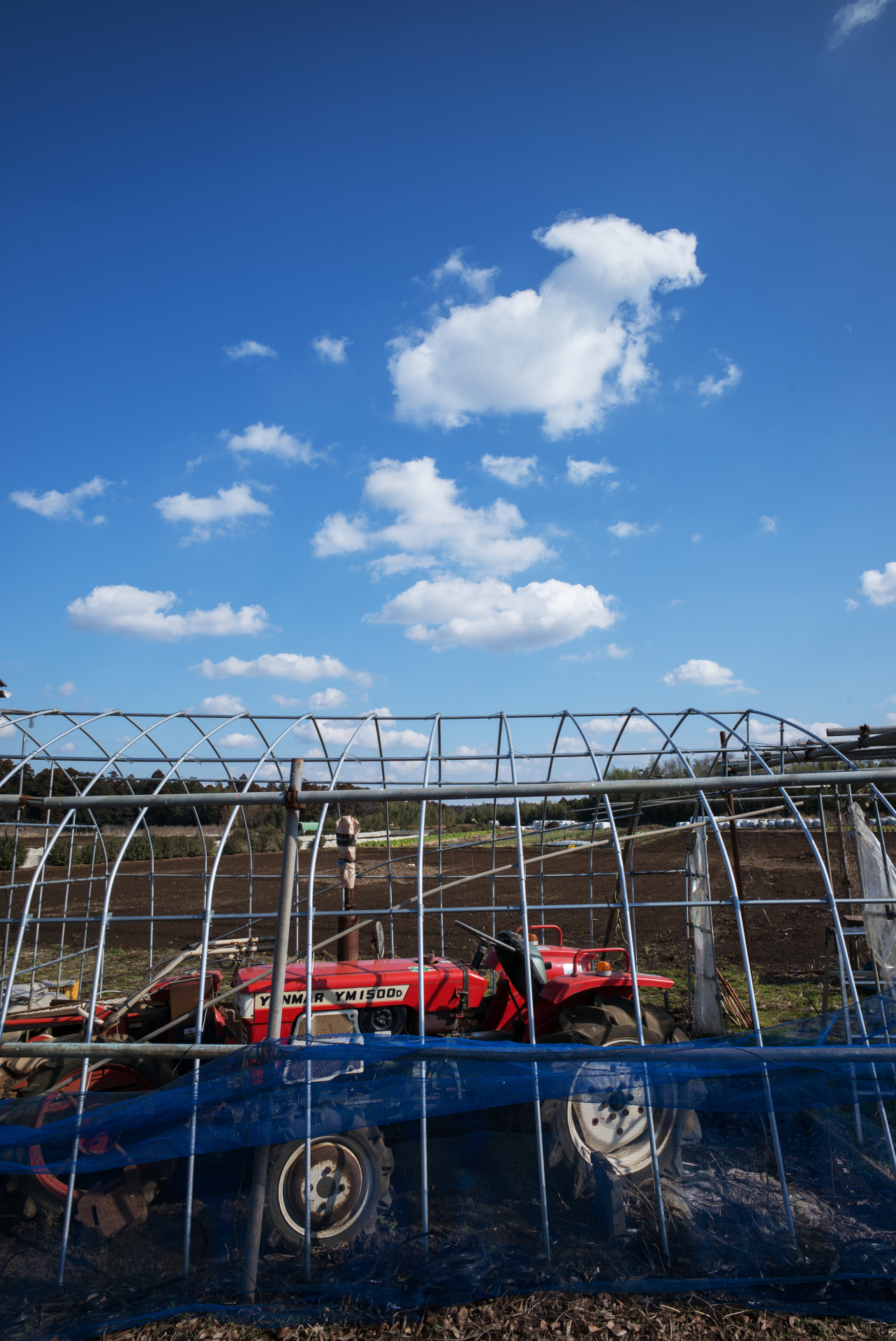 画面中央と周辺部の画質差は最小限。LEICA M（Typ240）/ ISO200 / F8 / 1/500秒 / WB:オート