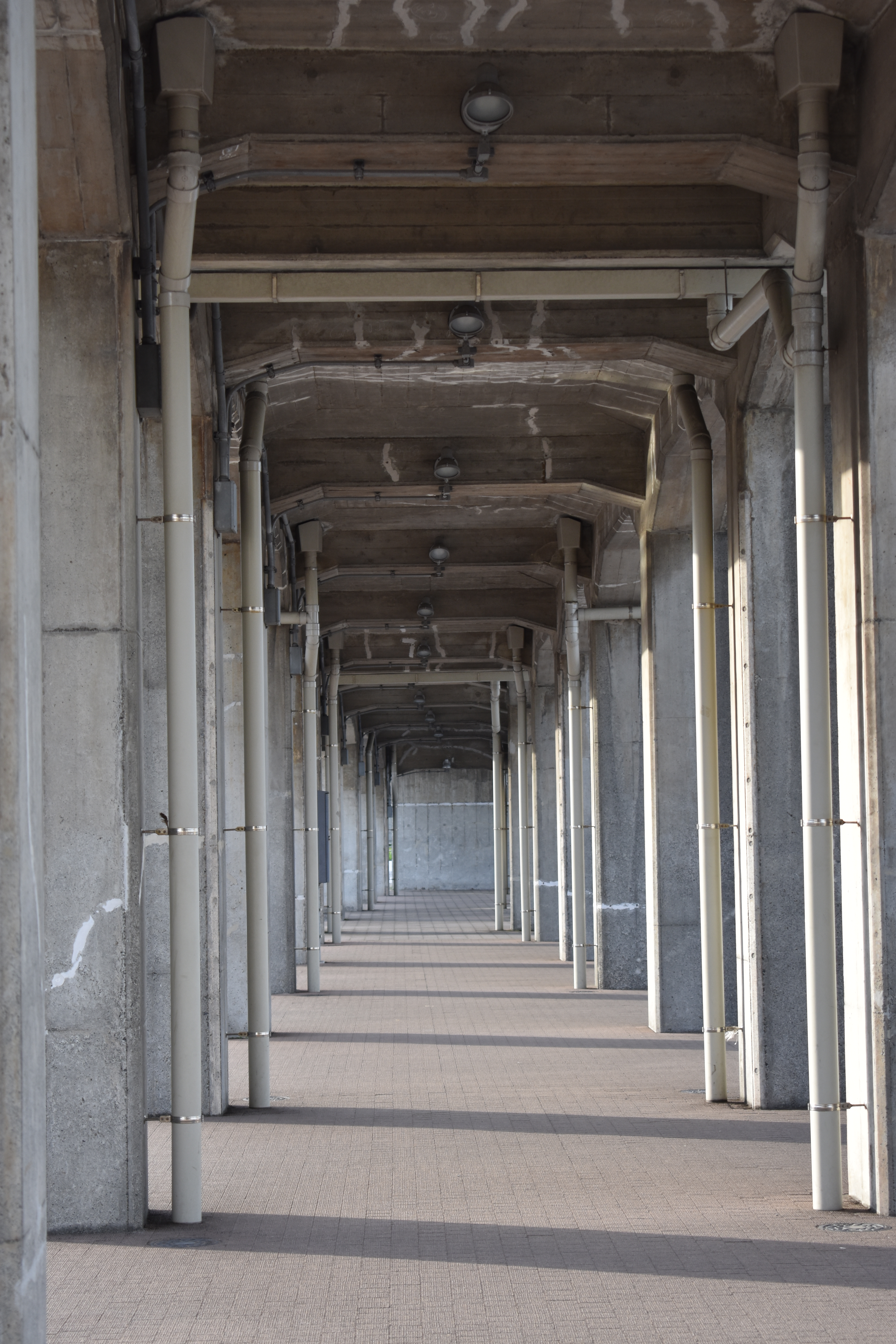 AF-P DX NIKKOR 18-55mm f/3.5-5.6G VR / 1/100秒 / F5.6 / ISO250 / 0EV / 絞り優先 AE / 55mm