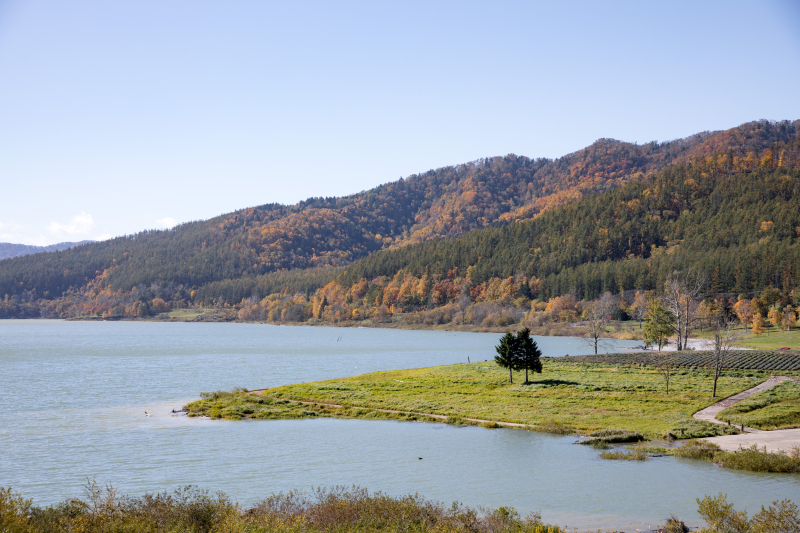 EOS 5D Mark IV / SIGMA 24-105mm F4 DG OS HSM / 1/250秒 / F8 / 0EV / ISO100 / 絞り優先AE / 62mm