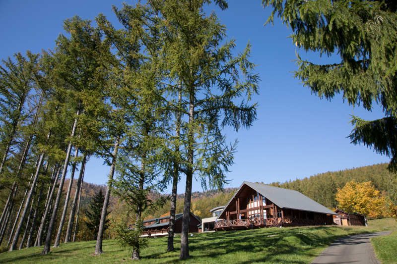 EOS 5D Mark IV / SIGMA 24-105mm F4 DG OS HSM / 1/200秒 / F8 / -0.3EV / ISO100 / 絞り優先AE / 24mm