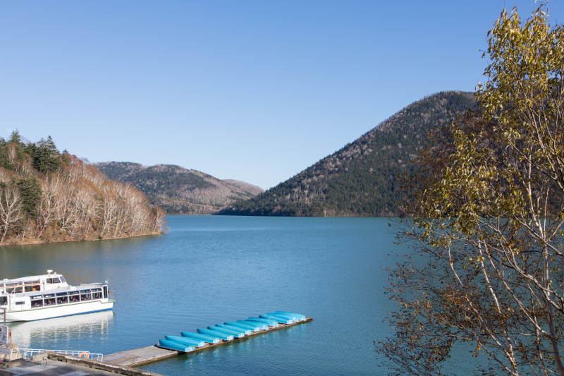 EOS 5D Mark IV / SIGMA 24-105mm F4 DG OS HSM / 1/100秒 / F11 / 0EV / ISO100 / 絞り優先AE / 42mm