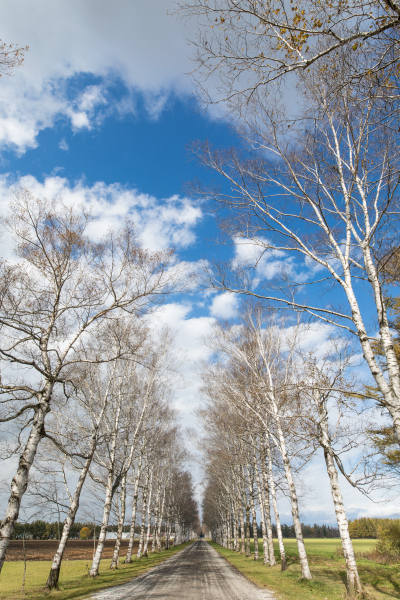 EOS 5D Mark IV / SIGMA 20mm F1.4 DG HSM | Art / 1/60秒 / F11 / +1EV / ISO100 / 絞り優先AE / 20mm