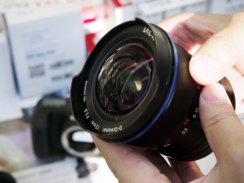 フードを外したところ。