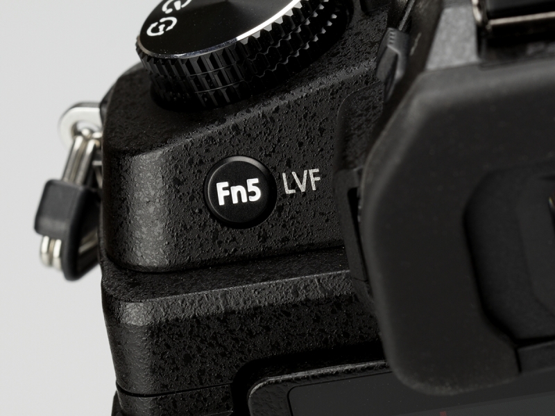 背面左手側はFn5ボタンのみ。ファインダーとモニターの切り替え操作などに利用する。