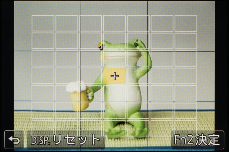 カーソルボタン（十字キー）で選択できる測距点は7×7の49点。タッチ操作ではもっと細かく設定できる。